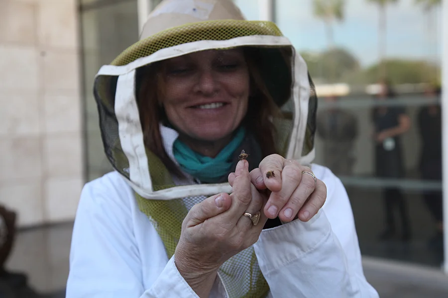 Pierre Huyghe's Unpredictable Ecosystems at LACMA