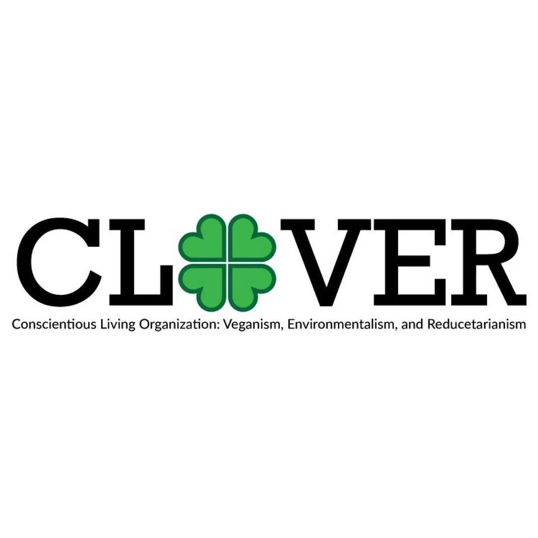 clover.jpg