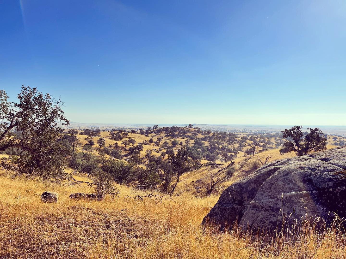 Views for days! New project site visit in Coarsegold

#brockitecture #ryanbrockettarchitect #architect #architecture #arch #design #interiors #residential #commercial #centralcoast #slocounty #templeton