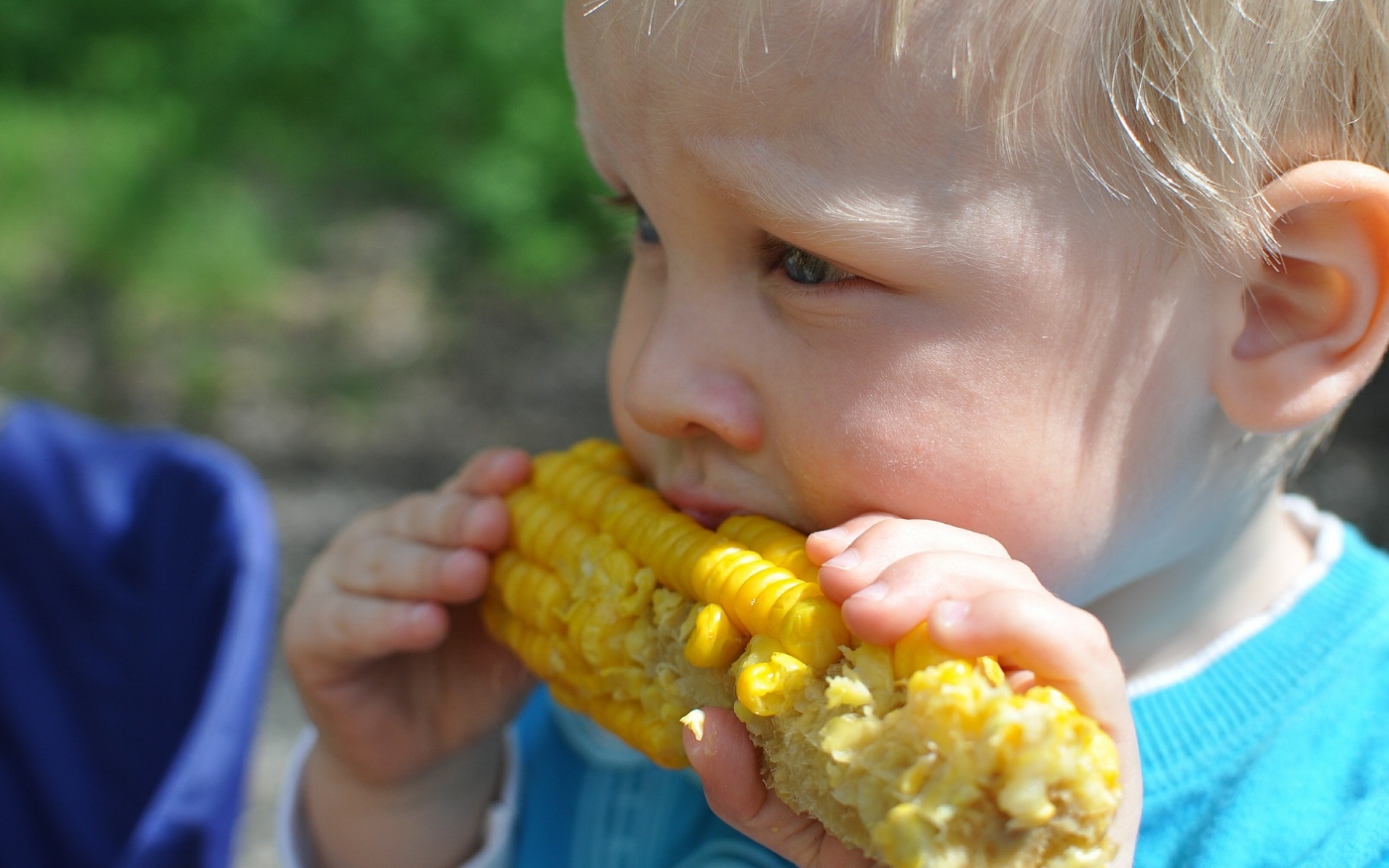 child-559415_1920.jpg