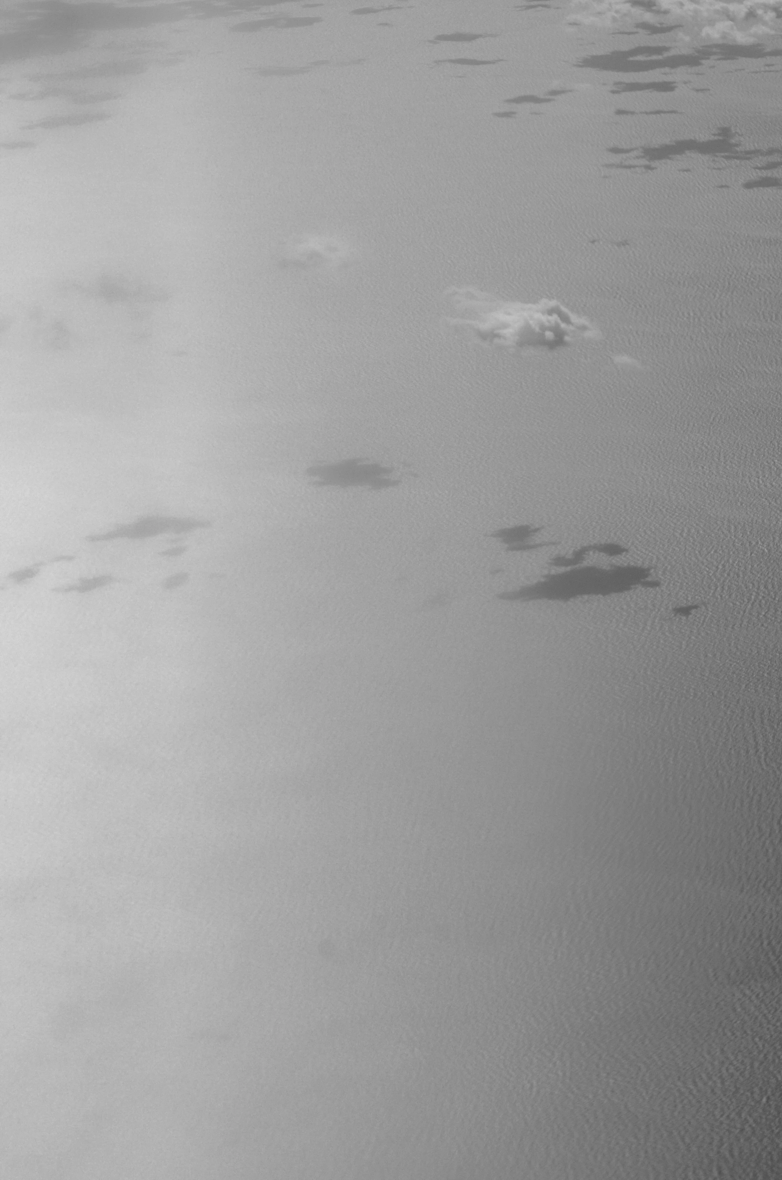 DSC_2261.jpg