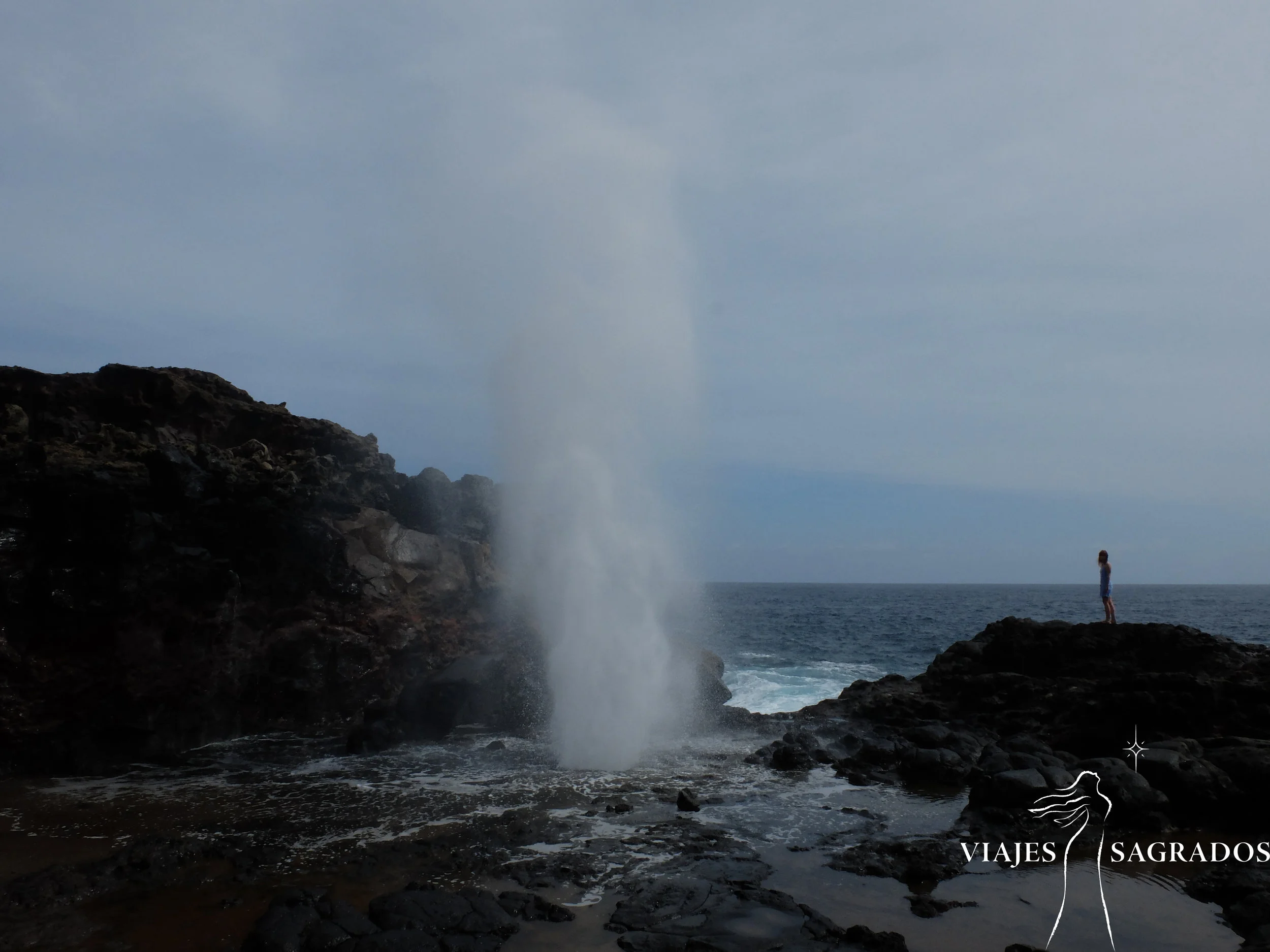 Hawaii, Bufador