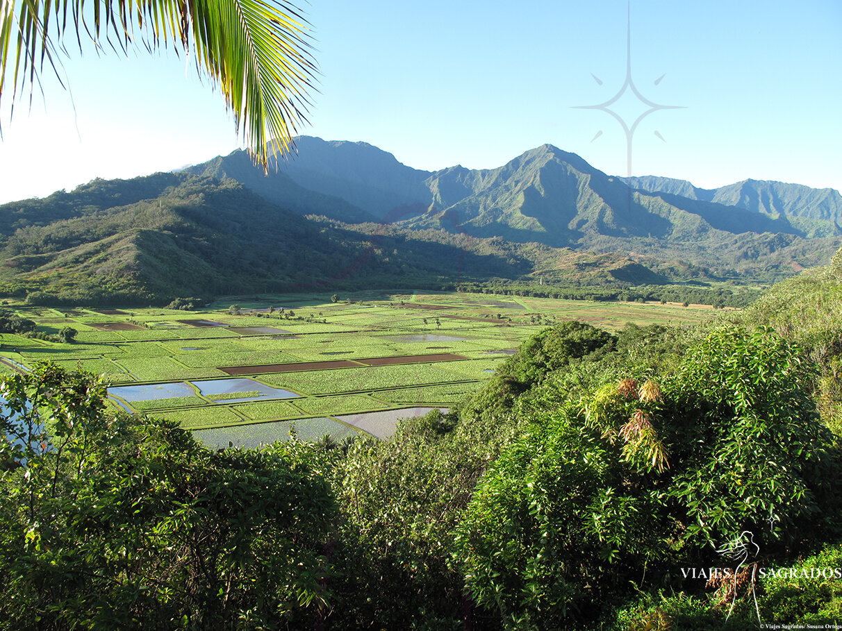 Kauai Isla Sagrada