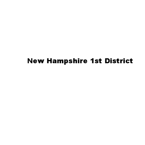 New Hampshire 1st District