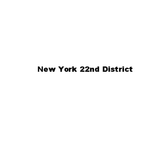 New York 22nd District