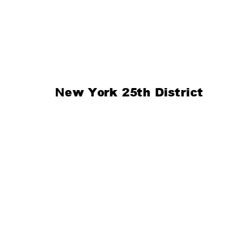 New York 25th District
