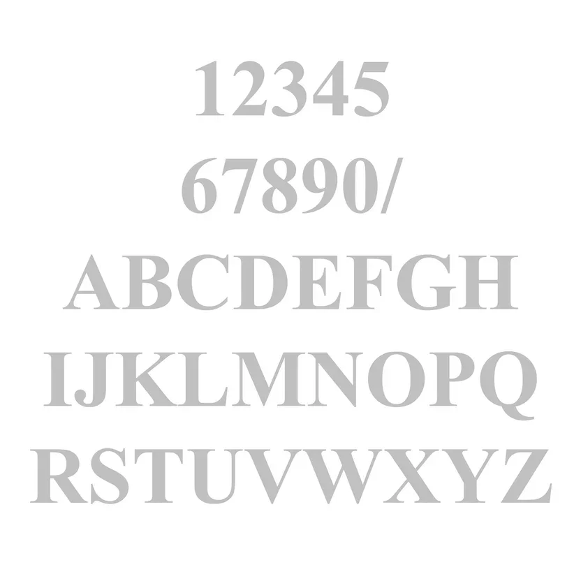 Vinyl - Times New Roman -Silver.webp