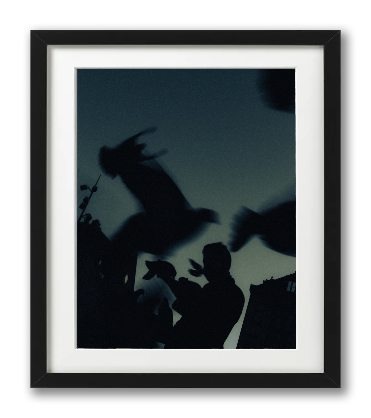 Pigeons.png