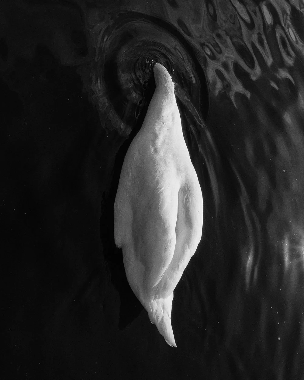 joe_clarke_photography_works_II_3.jpg