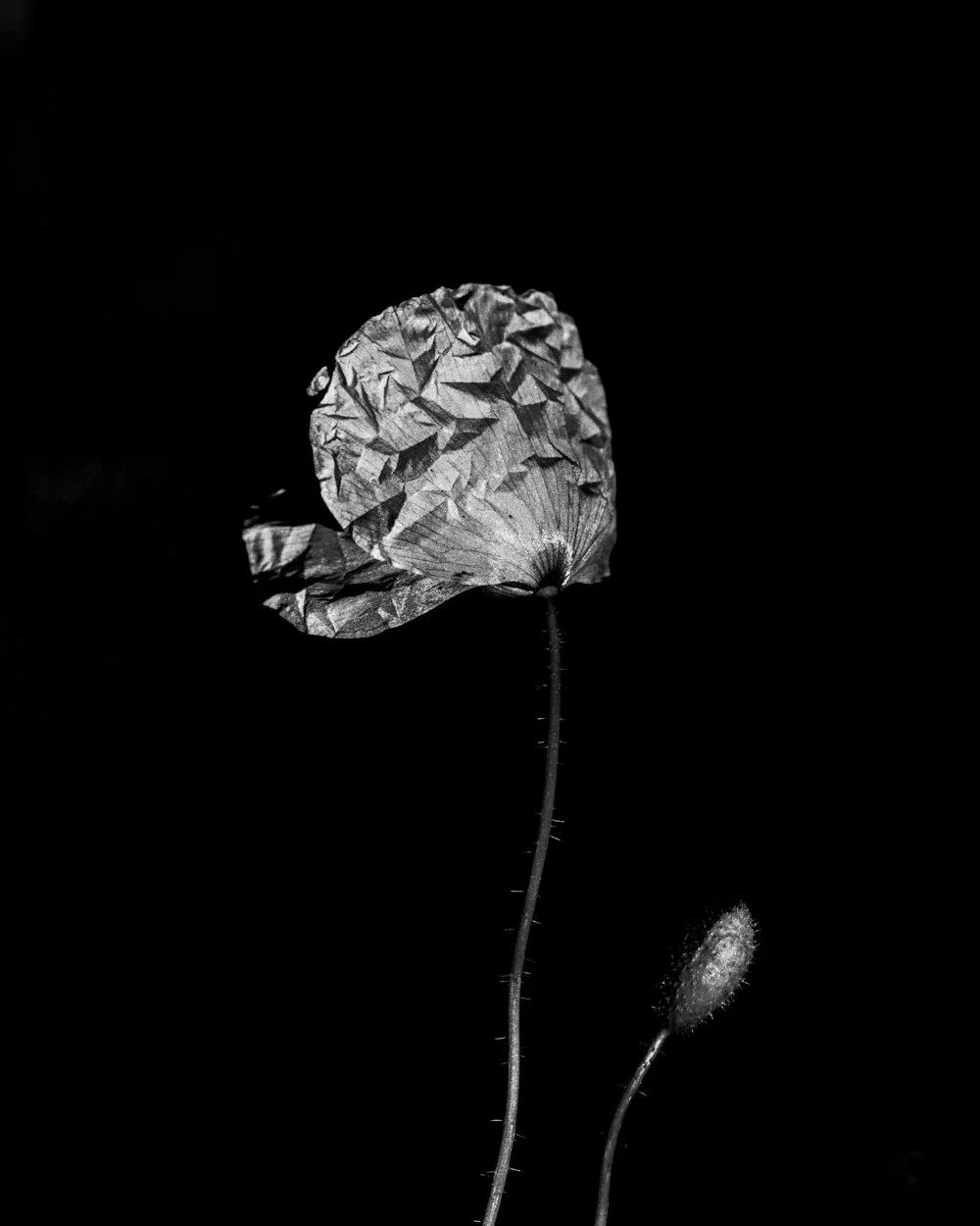 joe_clarke_photography_works_II_10.jpg