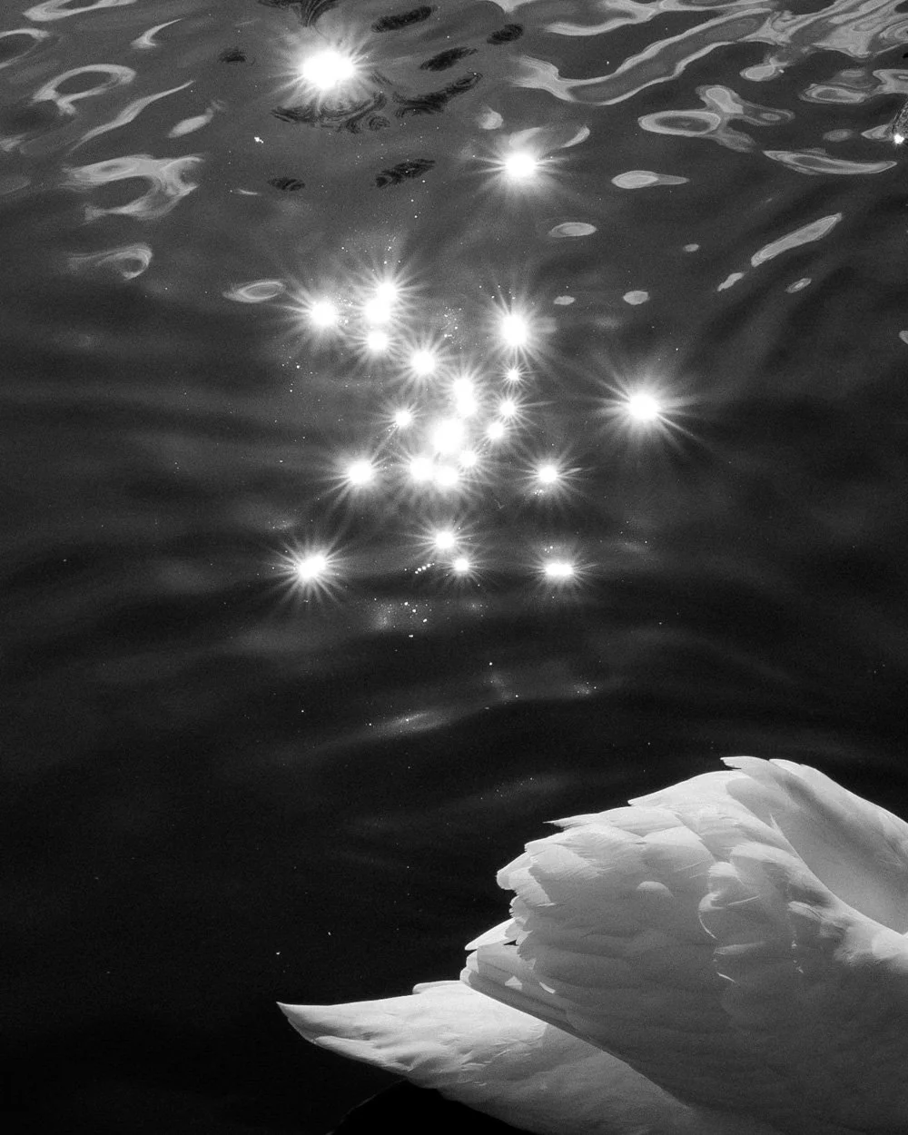 joe_clarke_photography_works_II_19.jpg