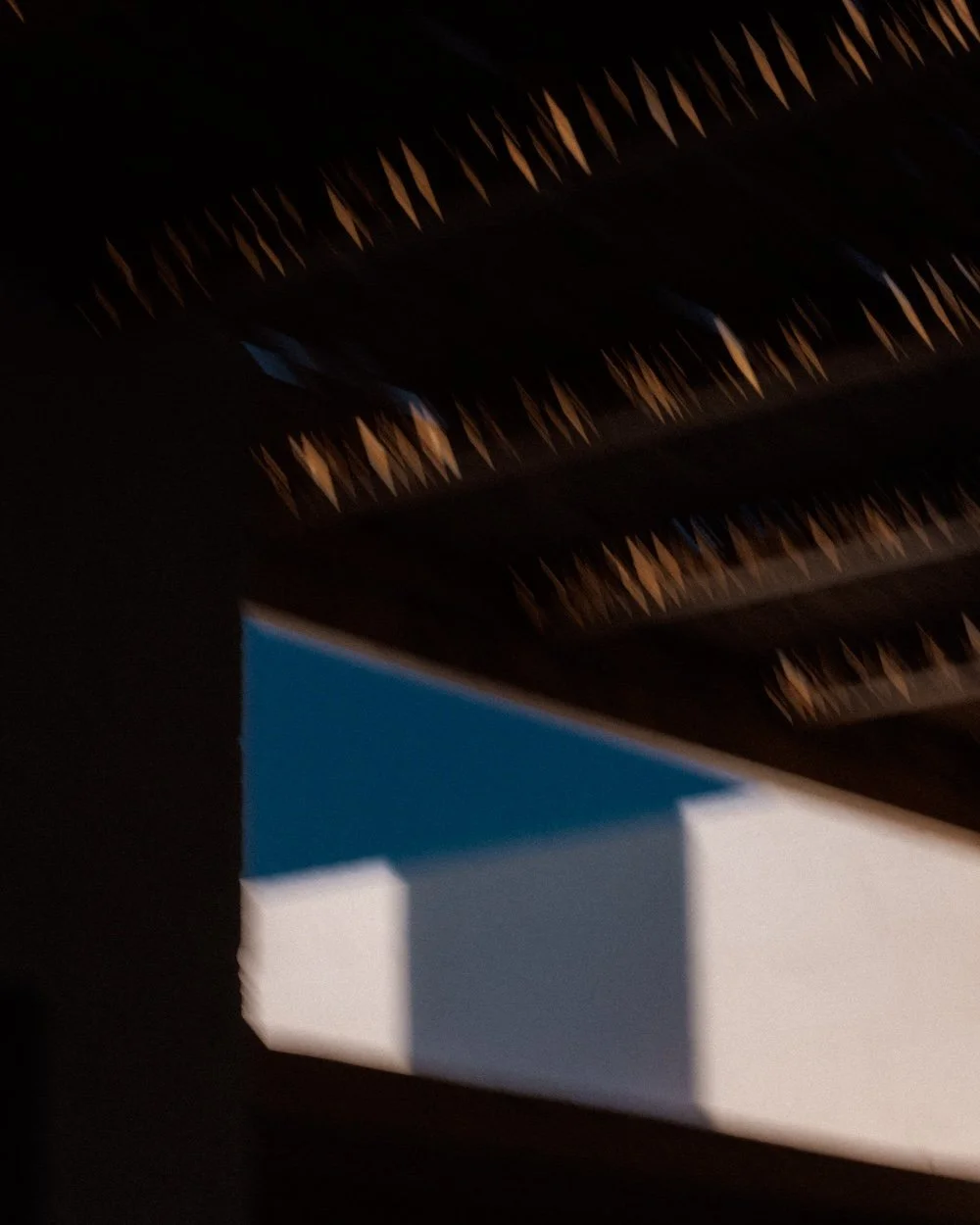 20240414_040A1963.jpg