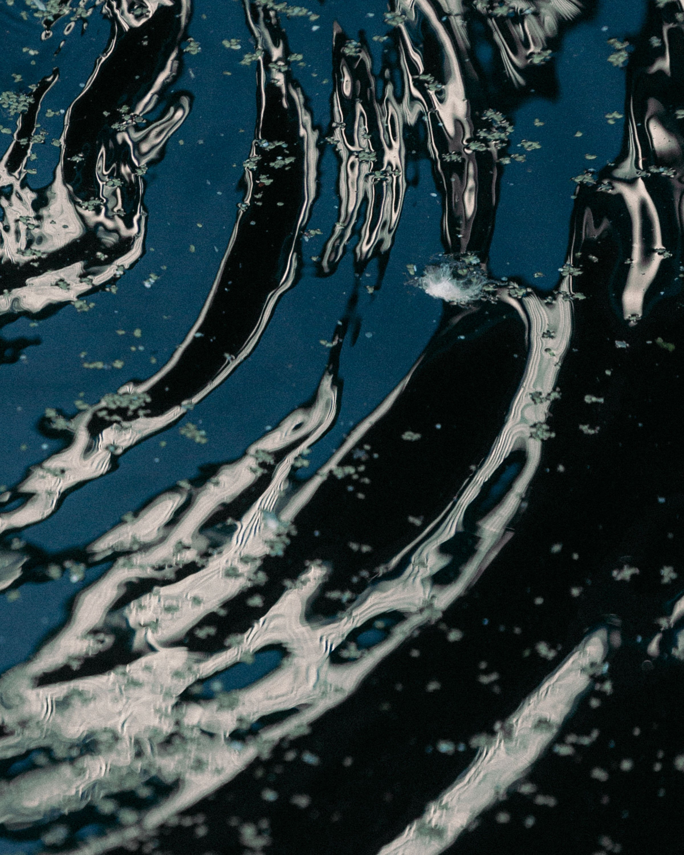 Abstract Canal XVIII.JPG