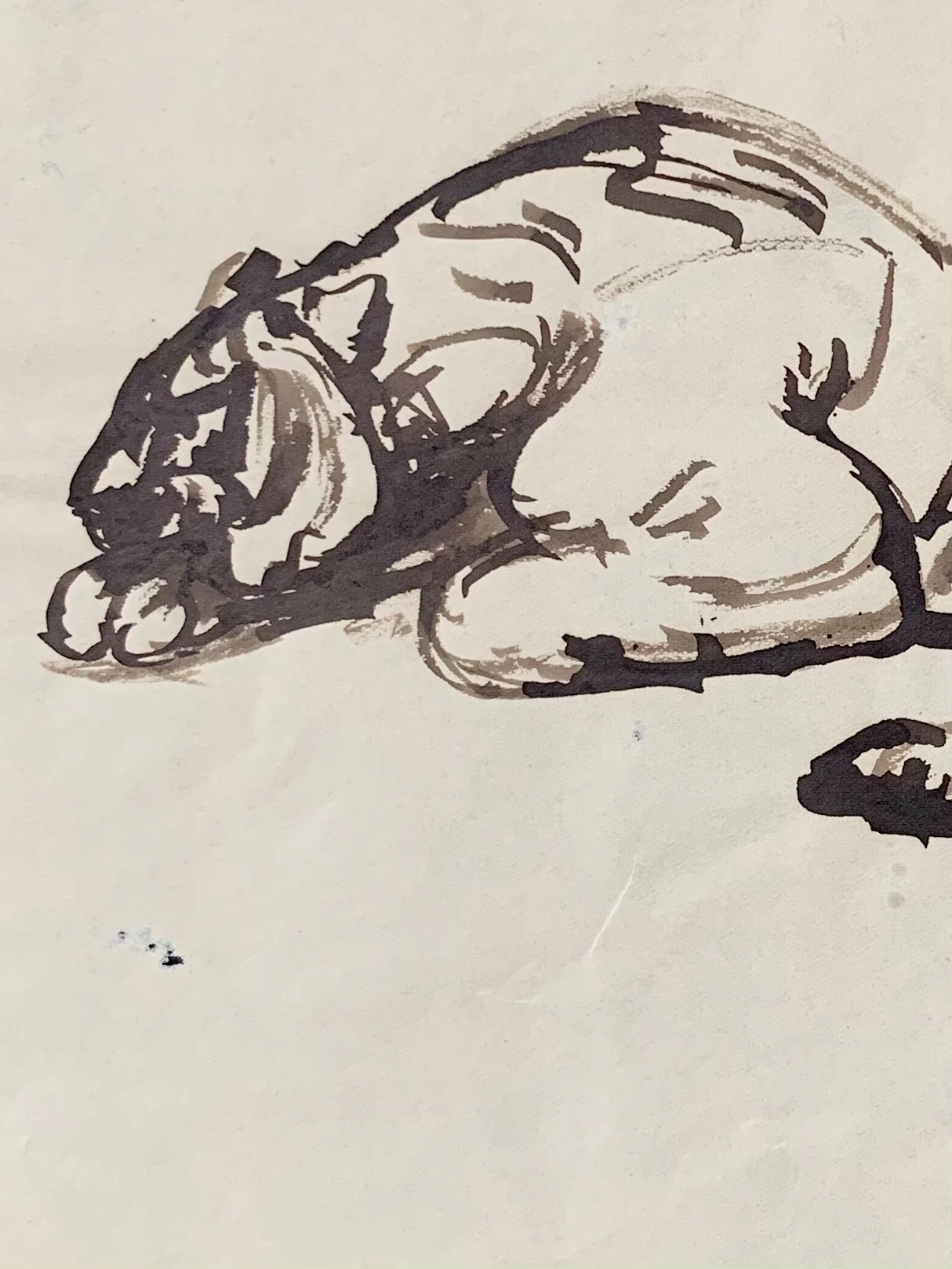 AfterlightImage 112.JPG