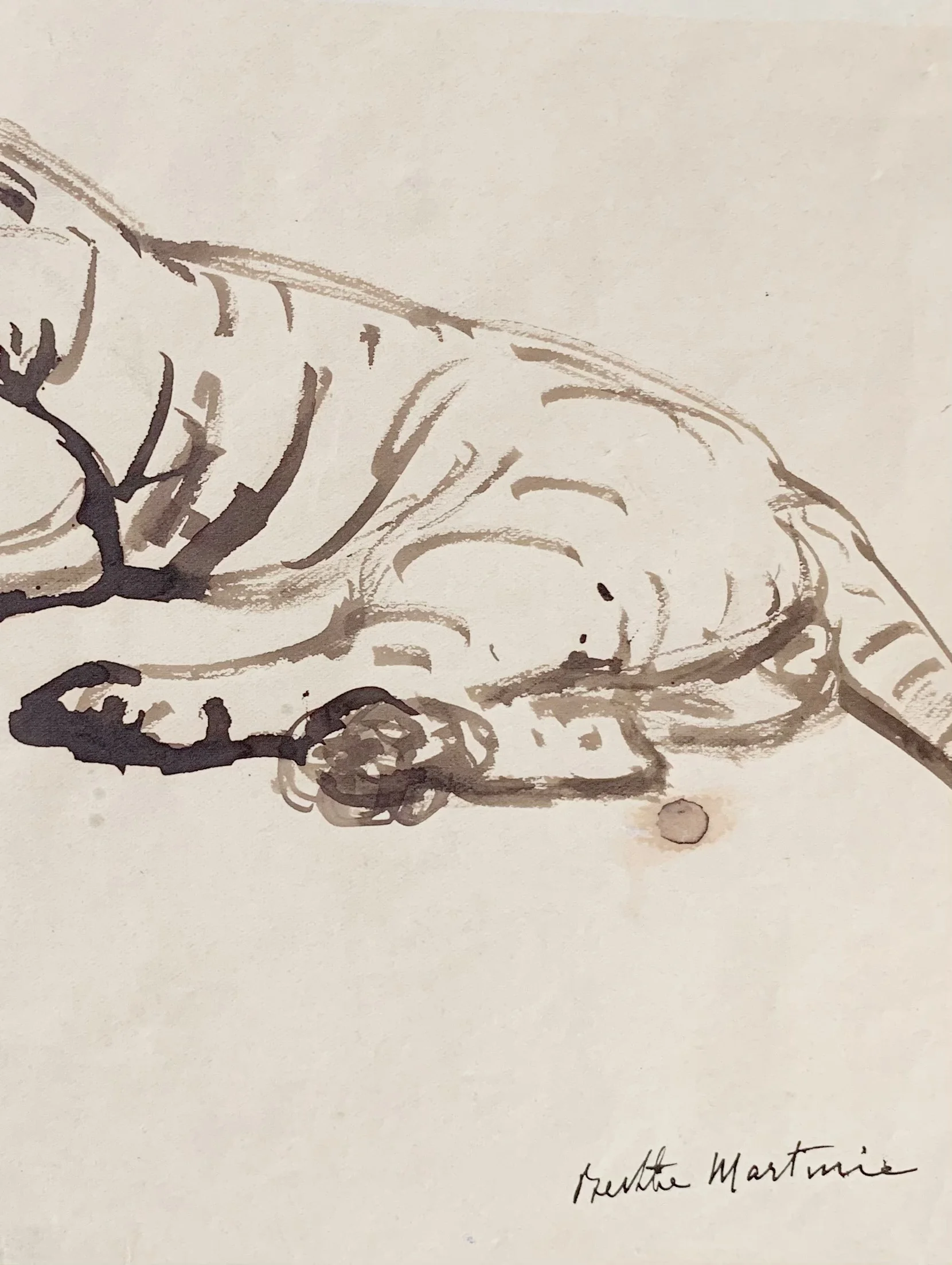 AfterlightImage 113.JPG