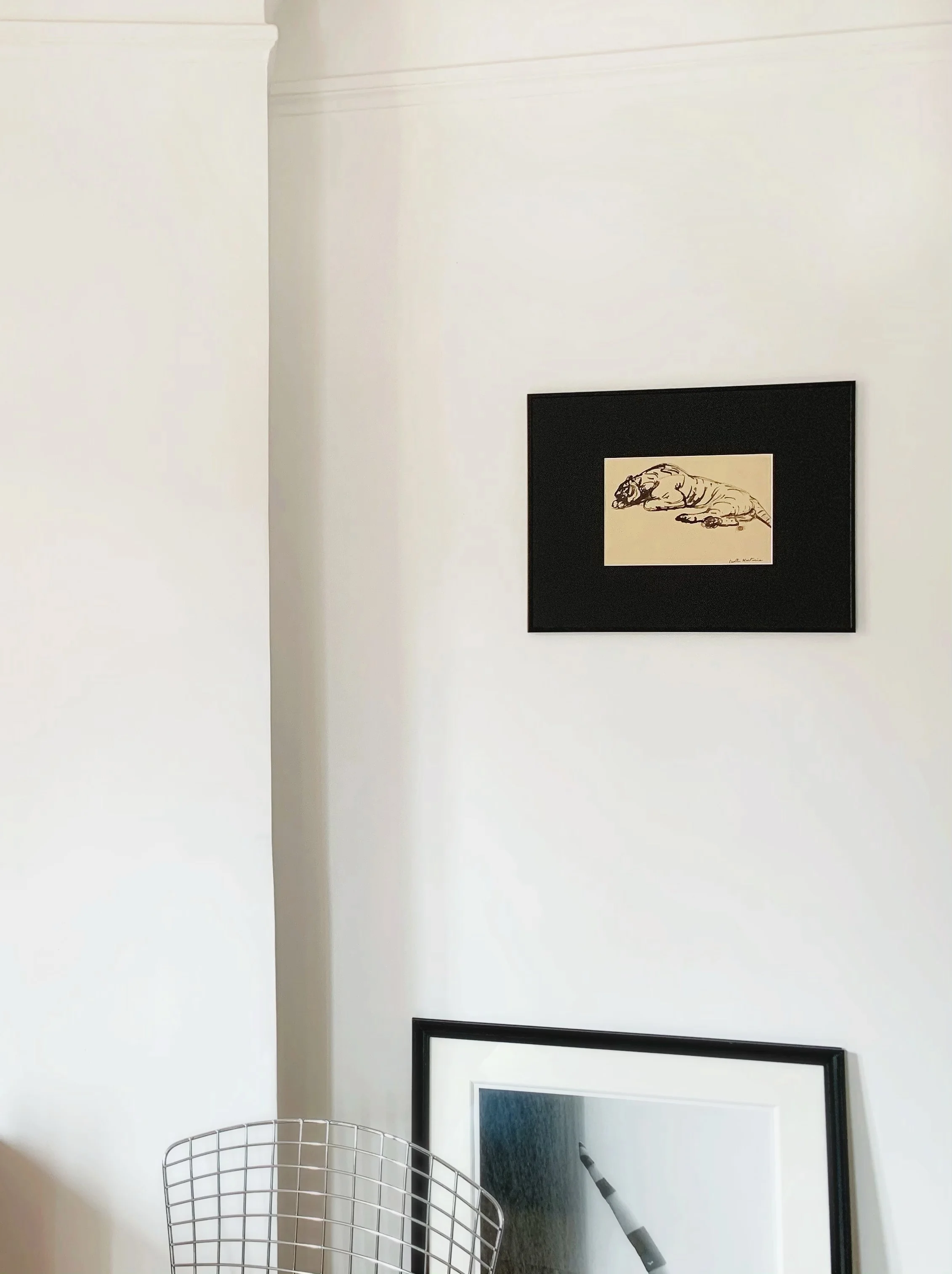 AfterlightImage 55.JPG