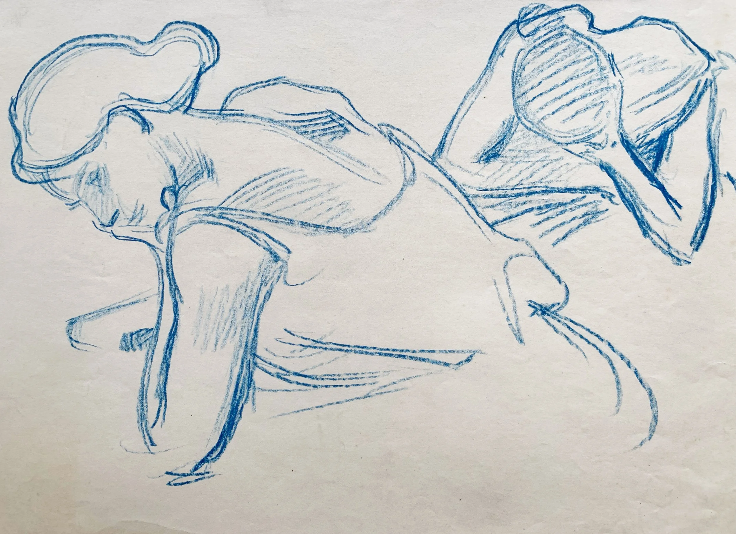 AfterlightImage 103.JPG