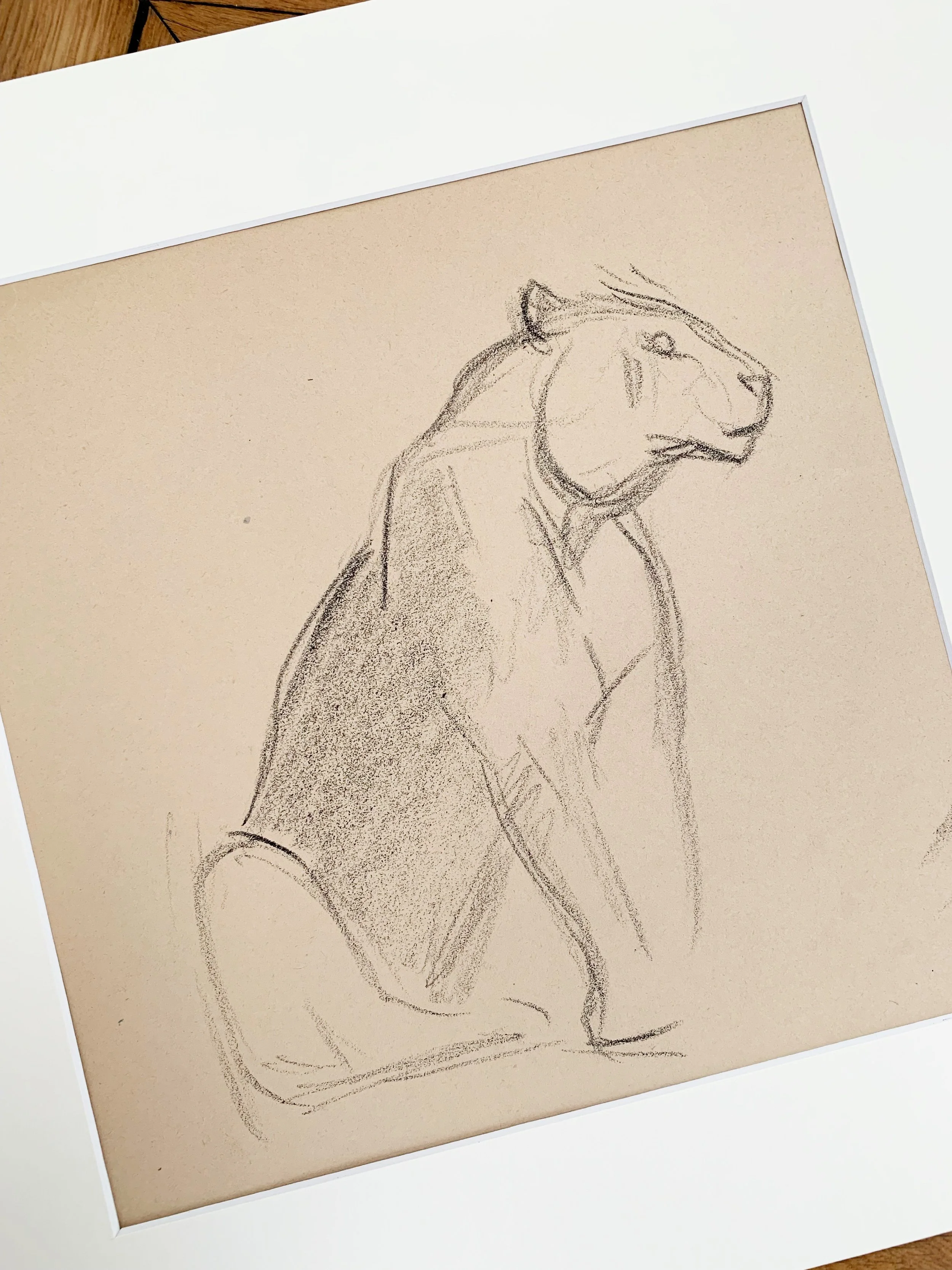 AfterlightImage 145.JPG