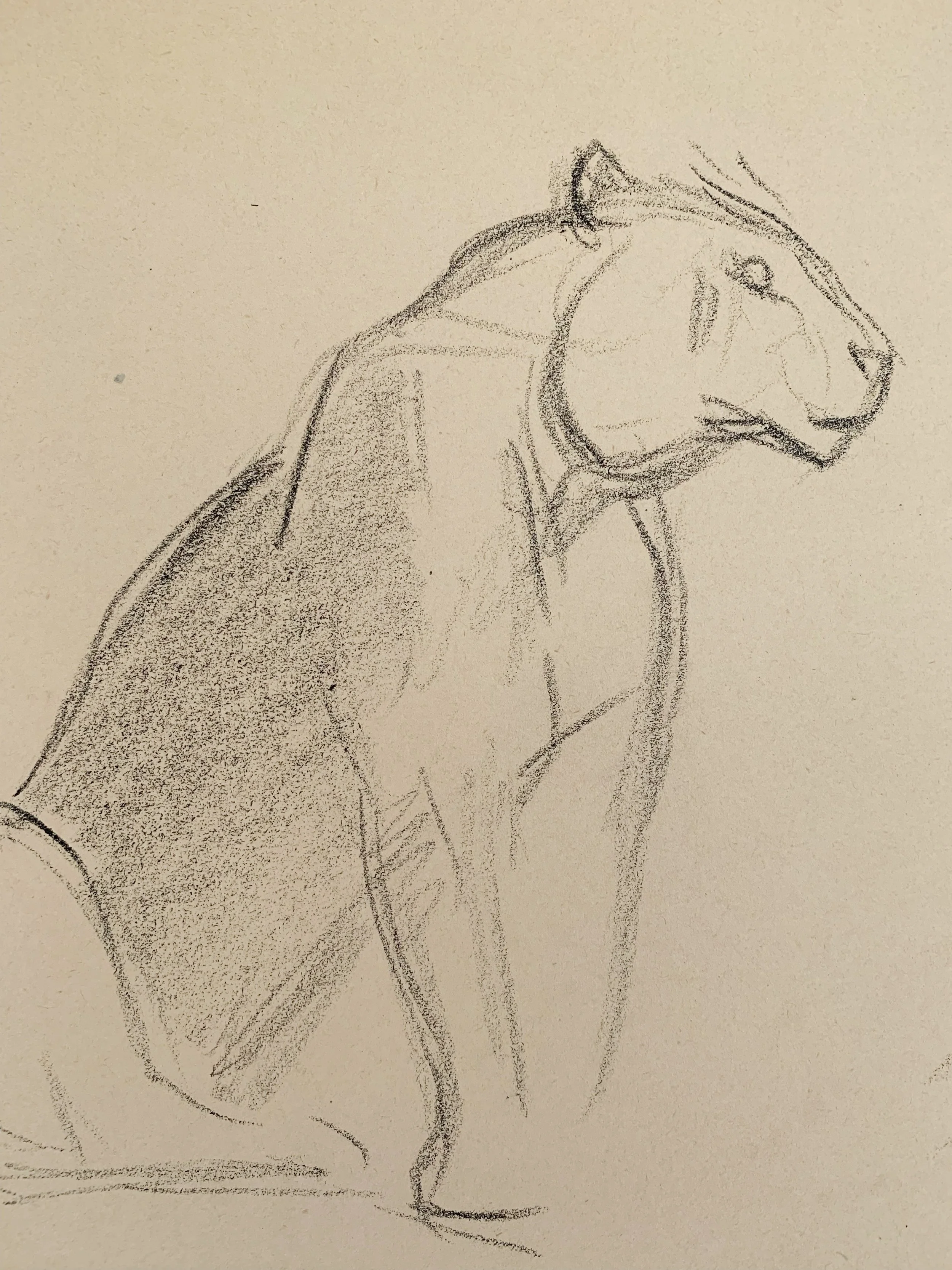 AfterlightImage 144.JPG