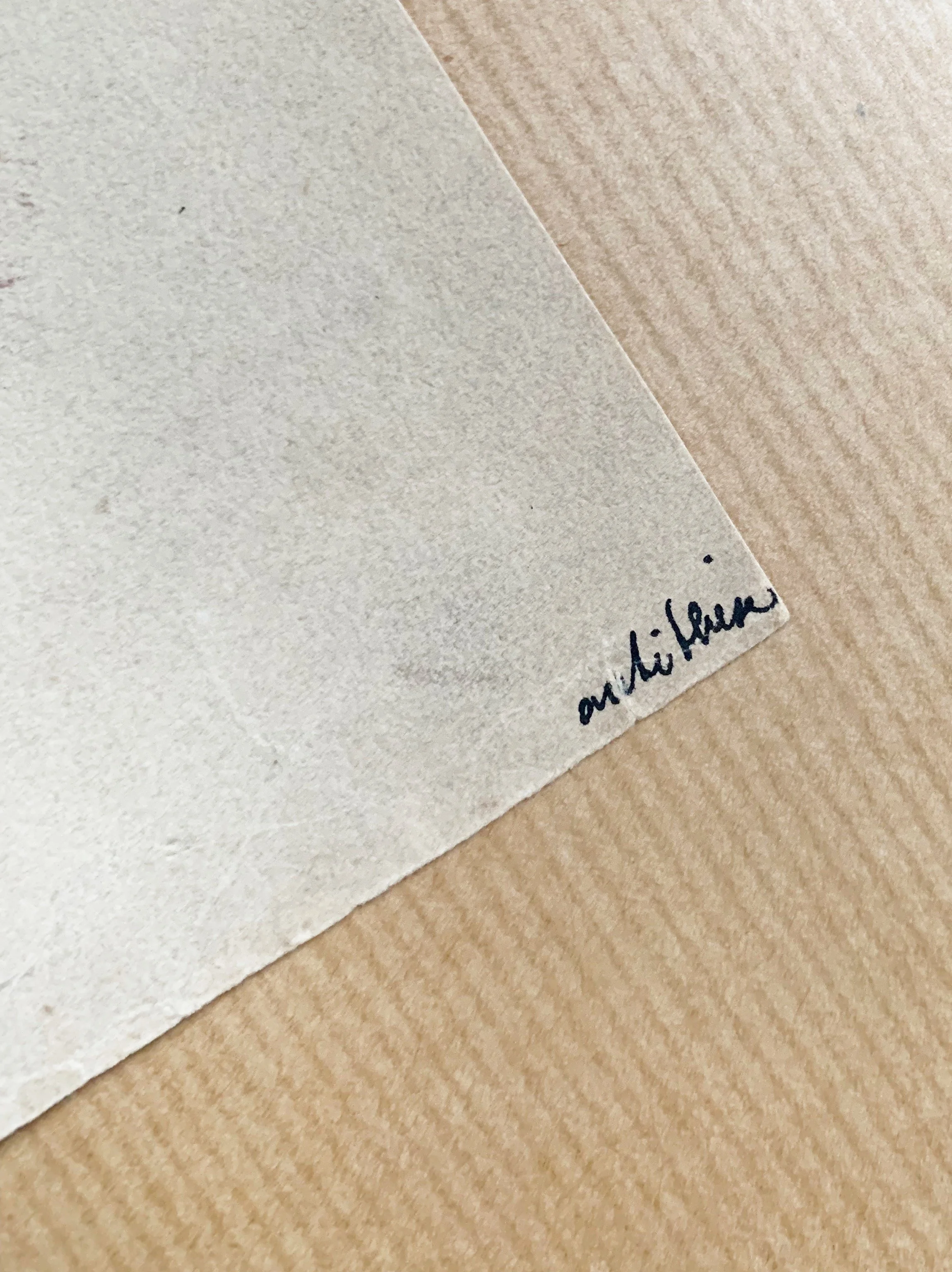 AfterlightImage 18.JPG