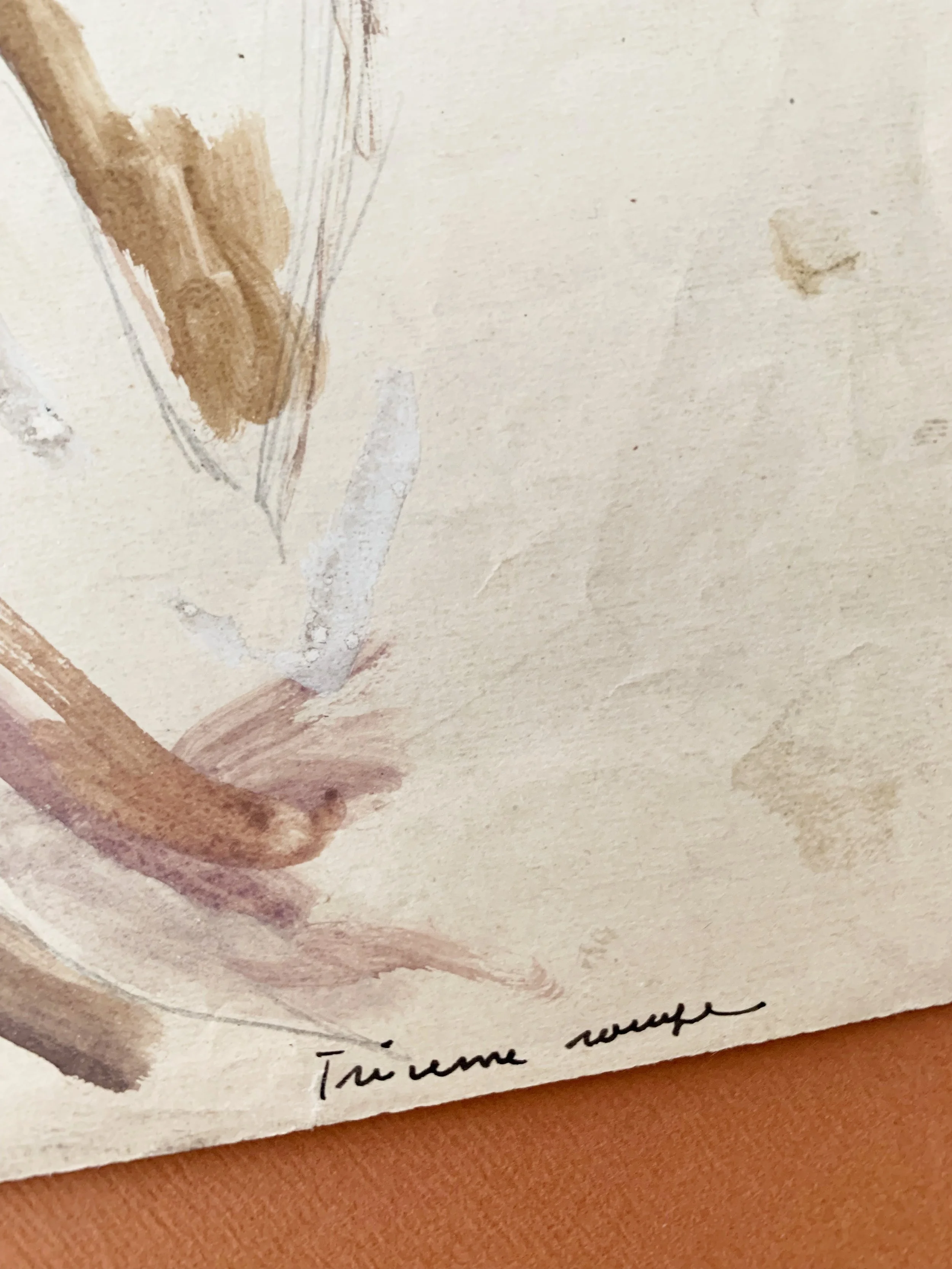 AfterlightImage 26.JPG