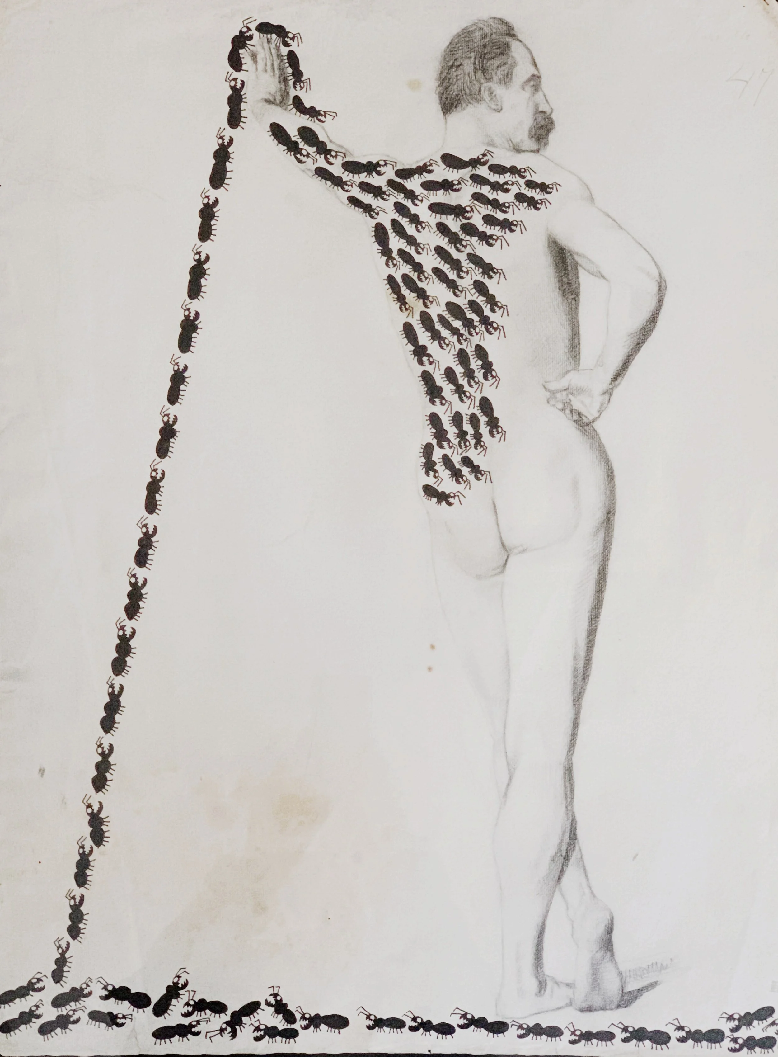 AfterlightImage 31.JPG