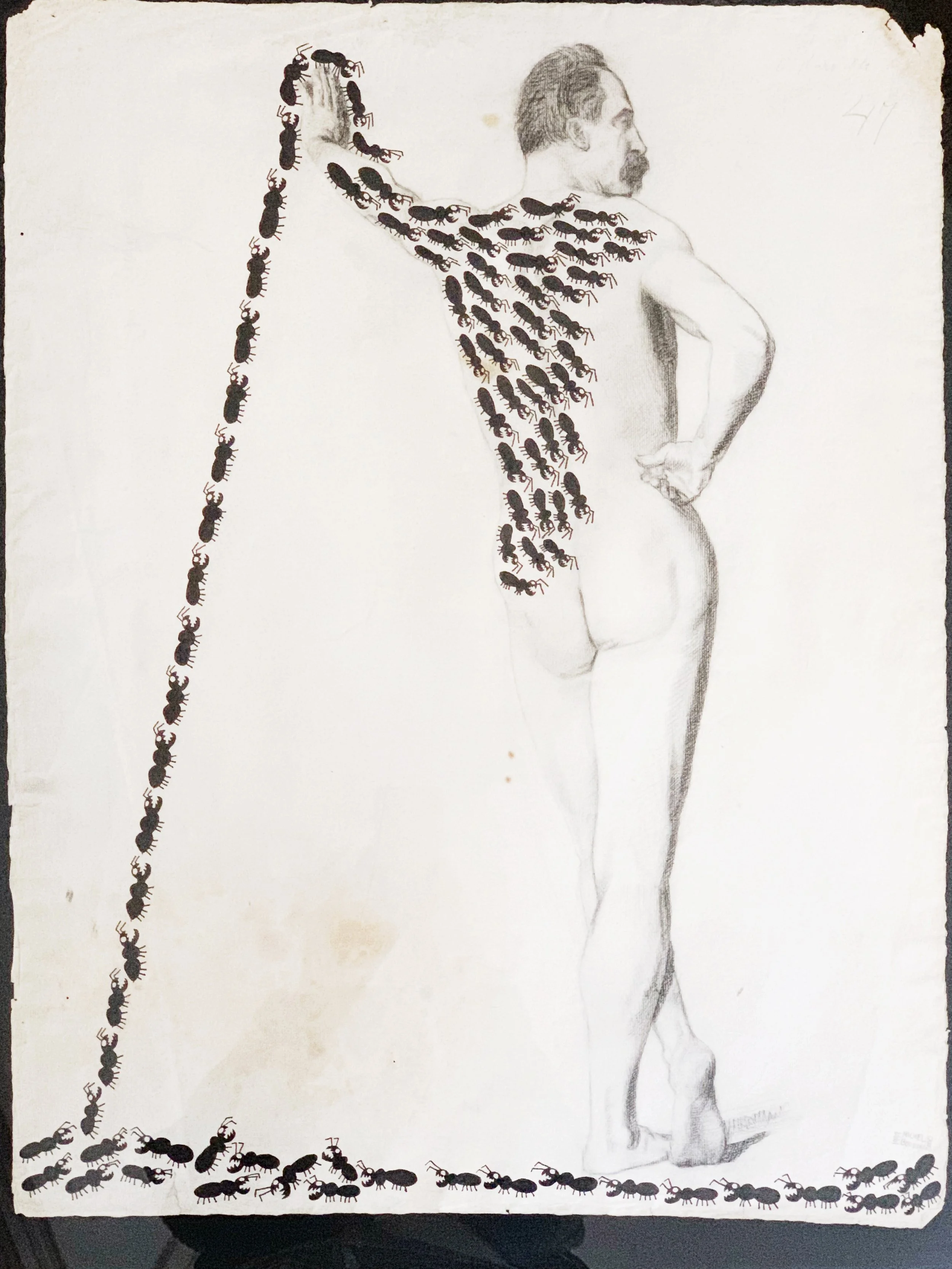 AfterlightImage 23.JPG