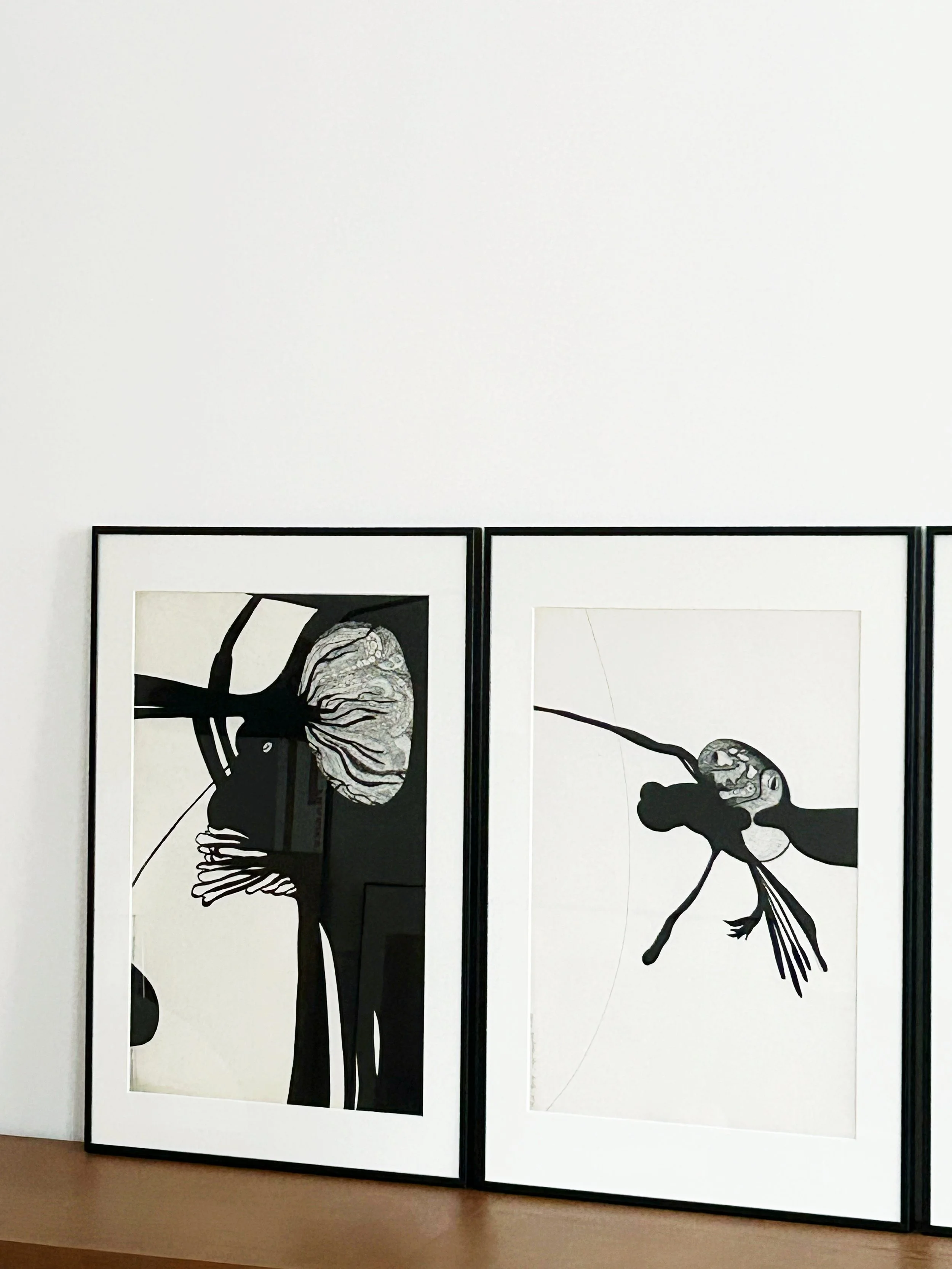 AfterlightImage 114.JPG