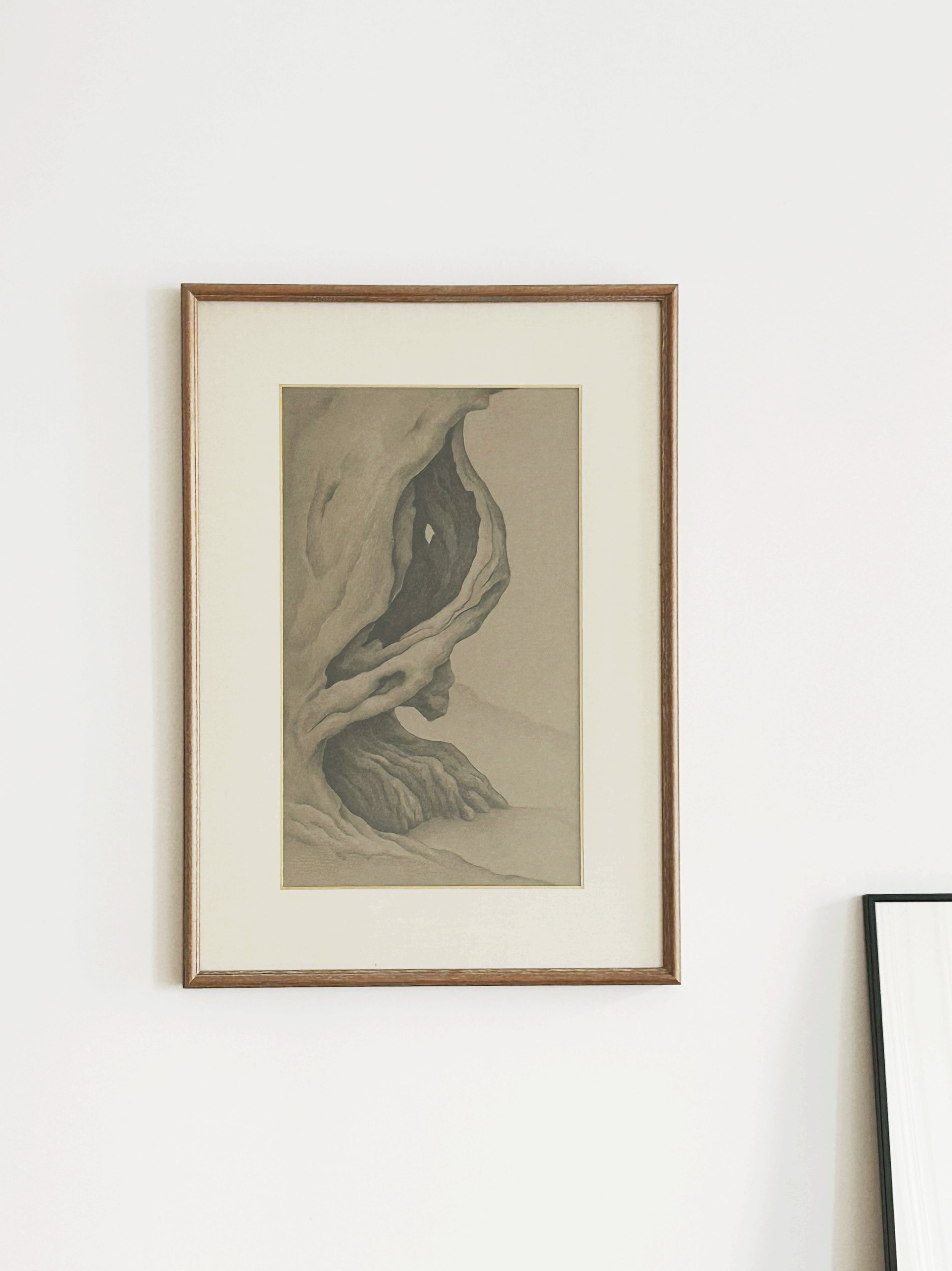 AfterlightImage 39.JPG