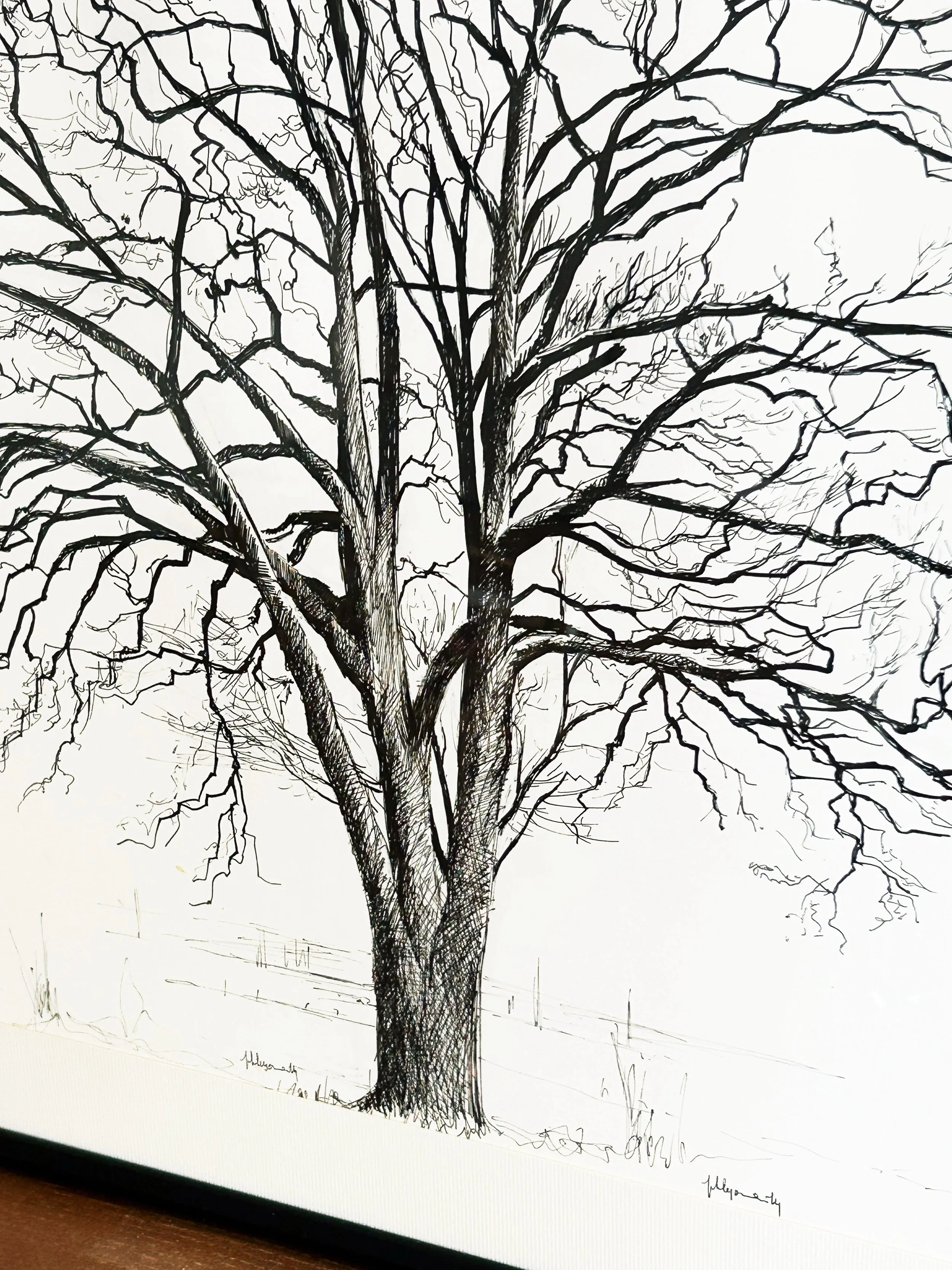 AfterlightImage 64.JPG