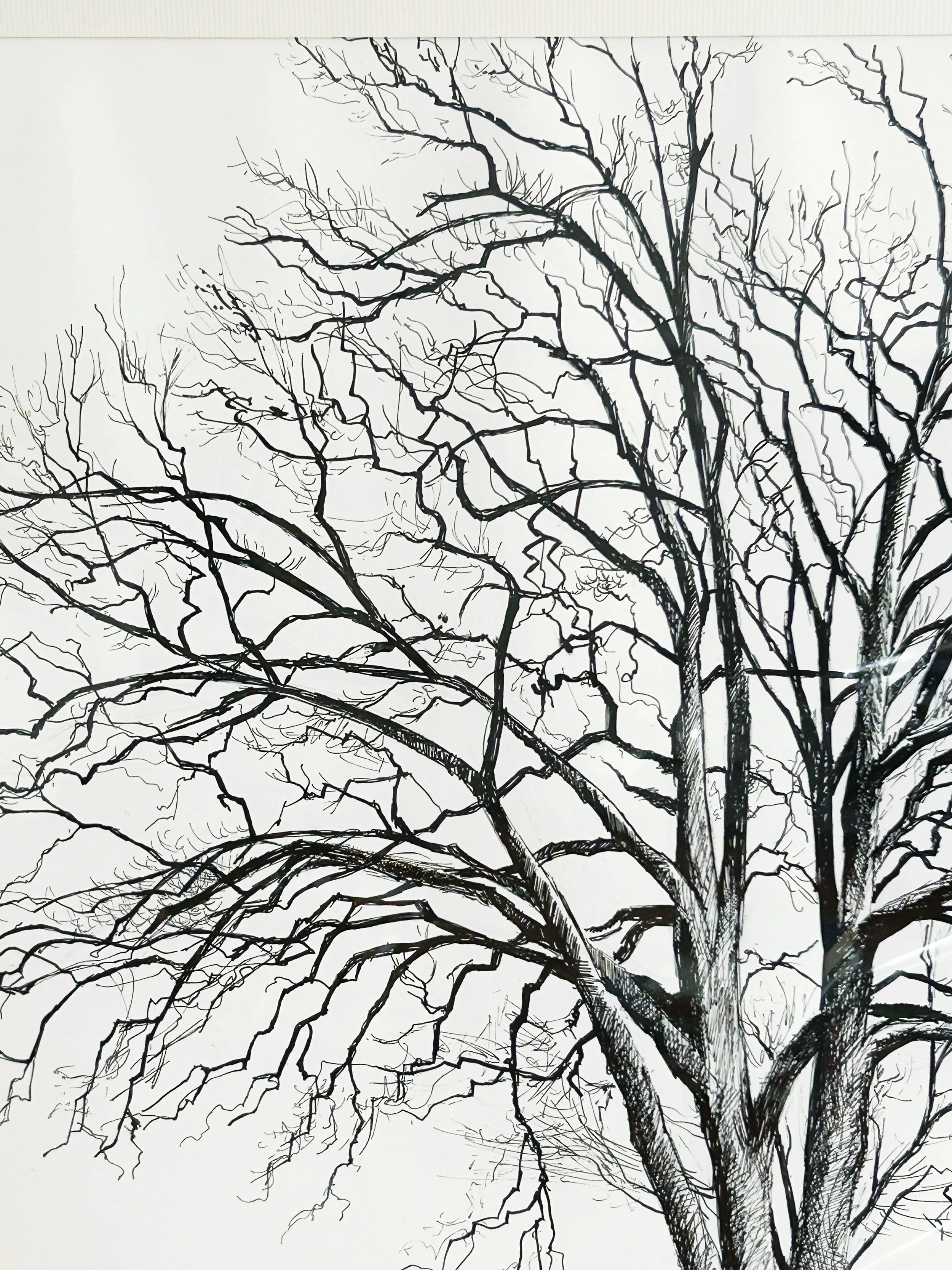 AfterlightImage 63.JPG