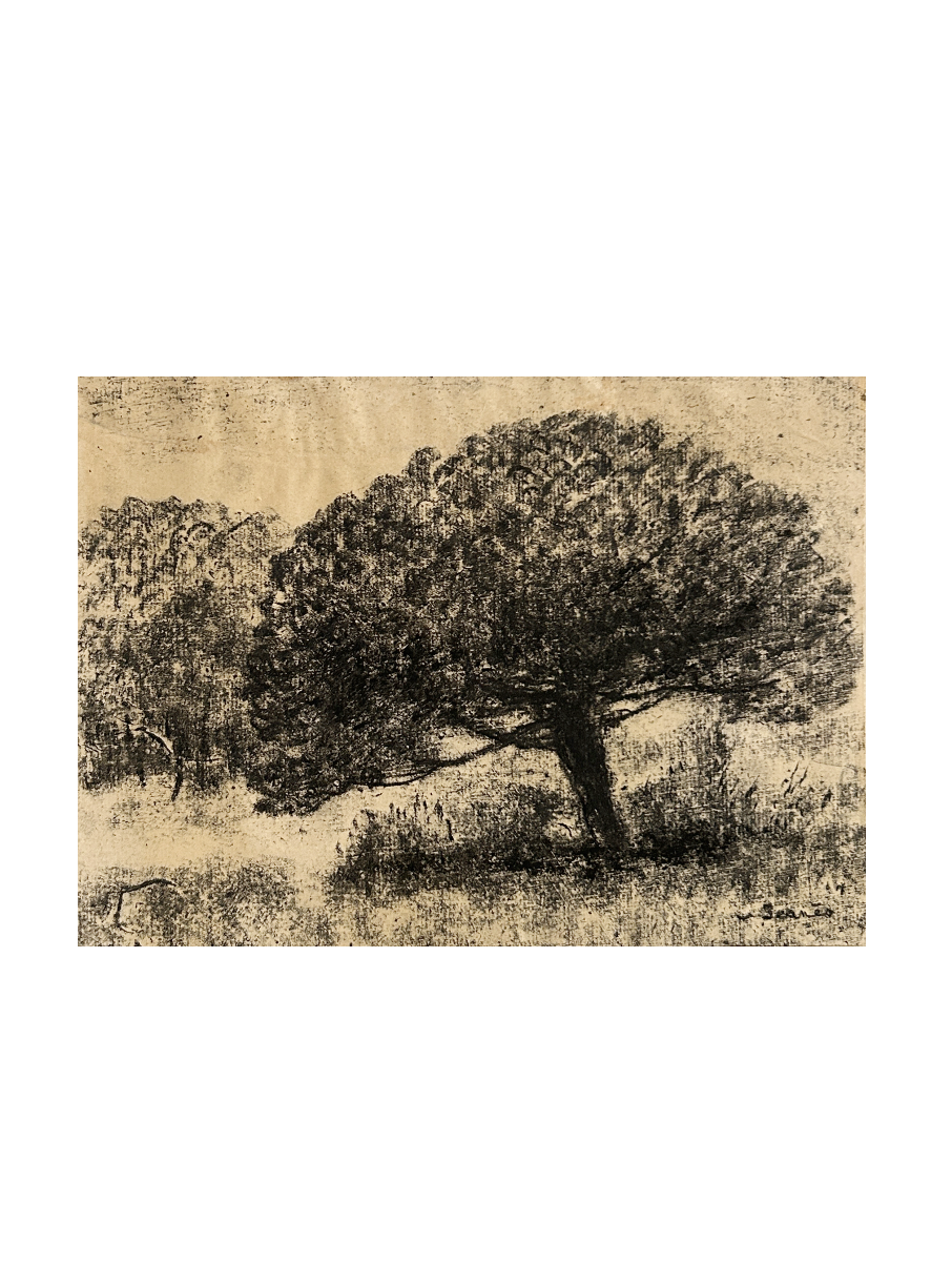Sigismond JEANES 1862-1952