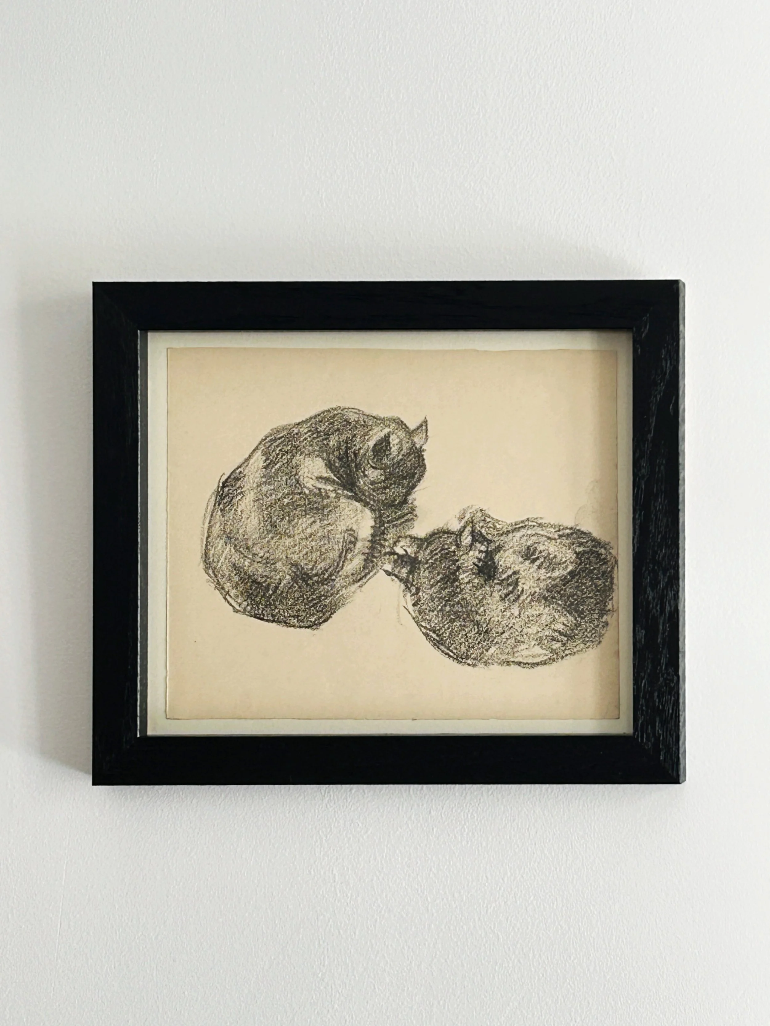 AfterlightImage 25.JPG