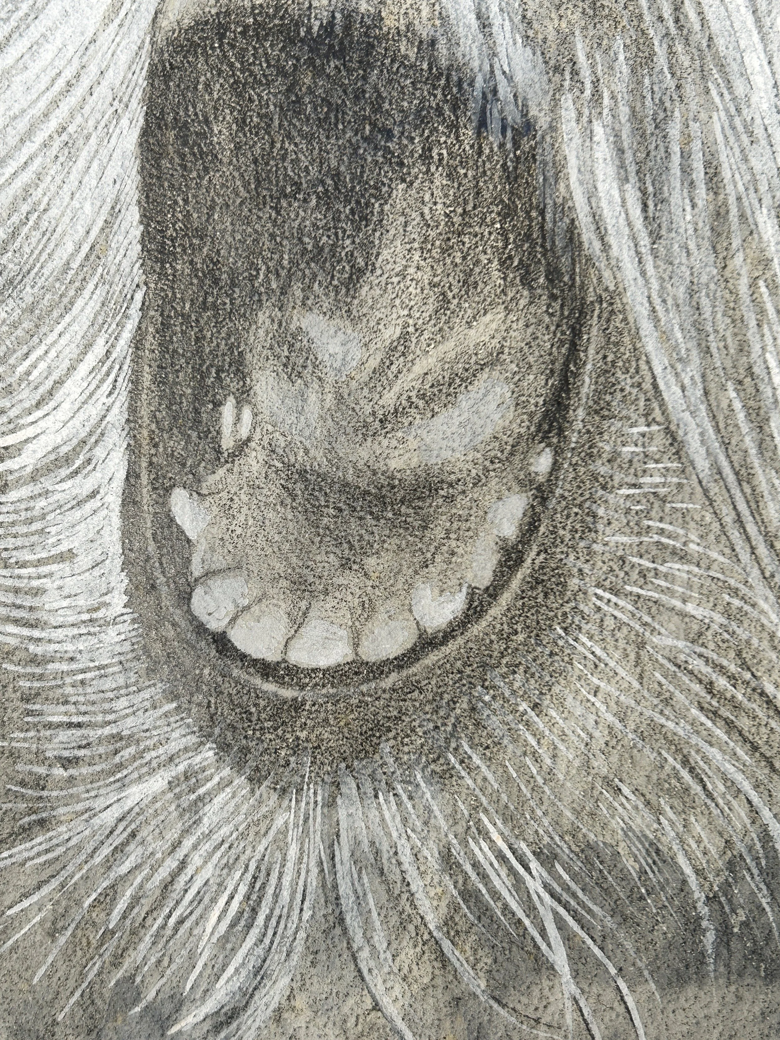 AfterlightImage 140.JPG