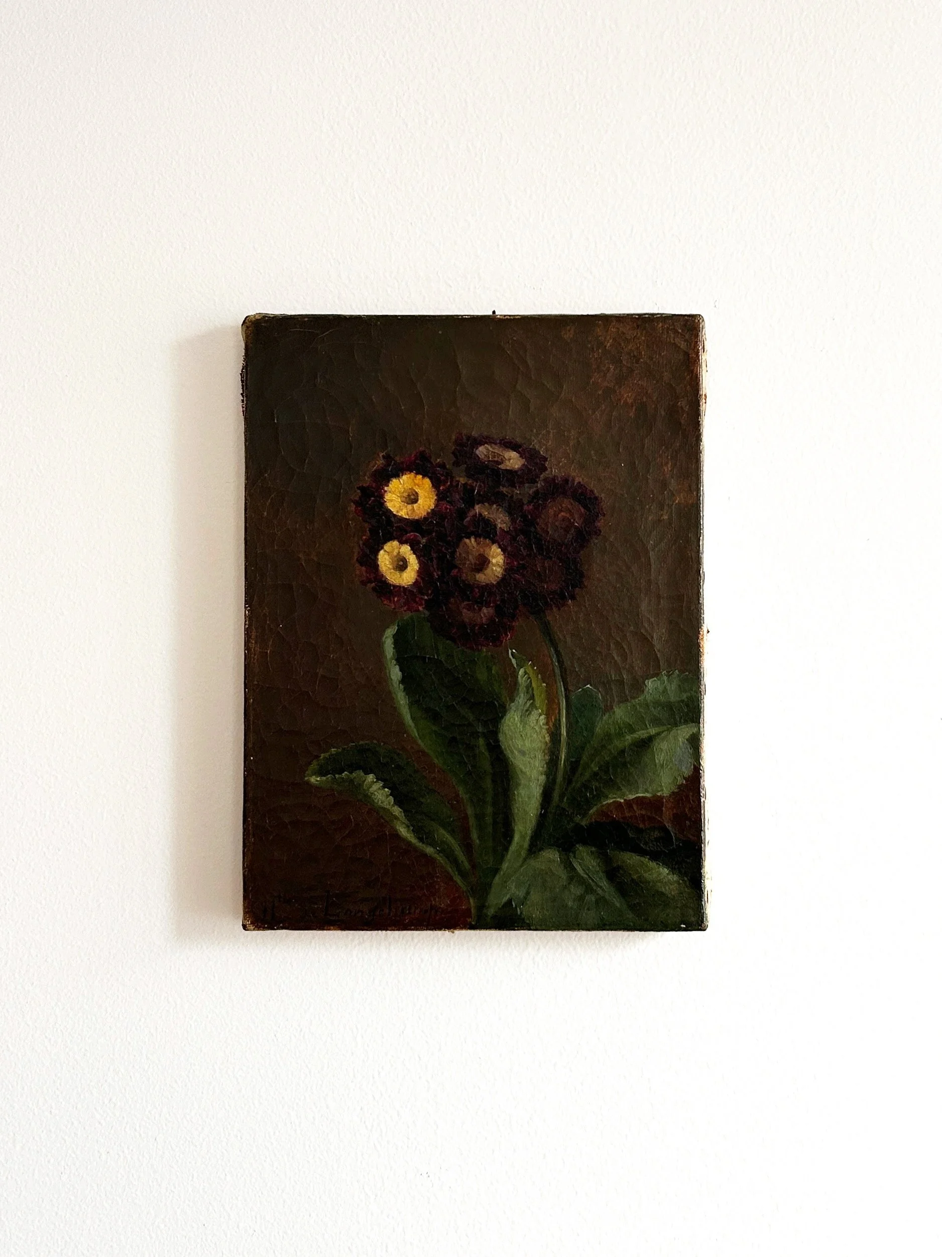 AfterlightImage 23.JPG