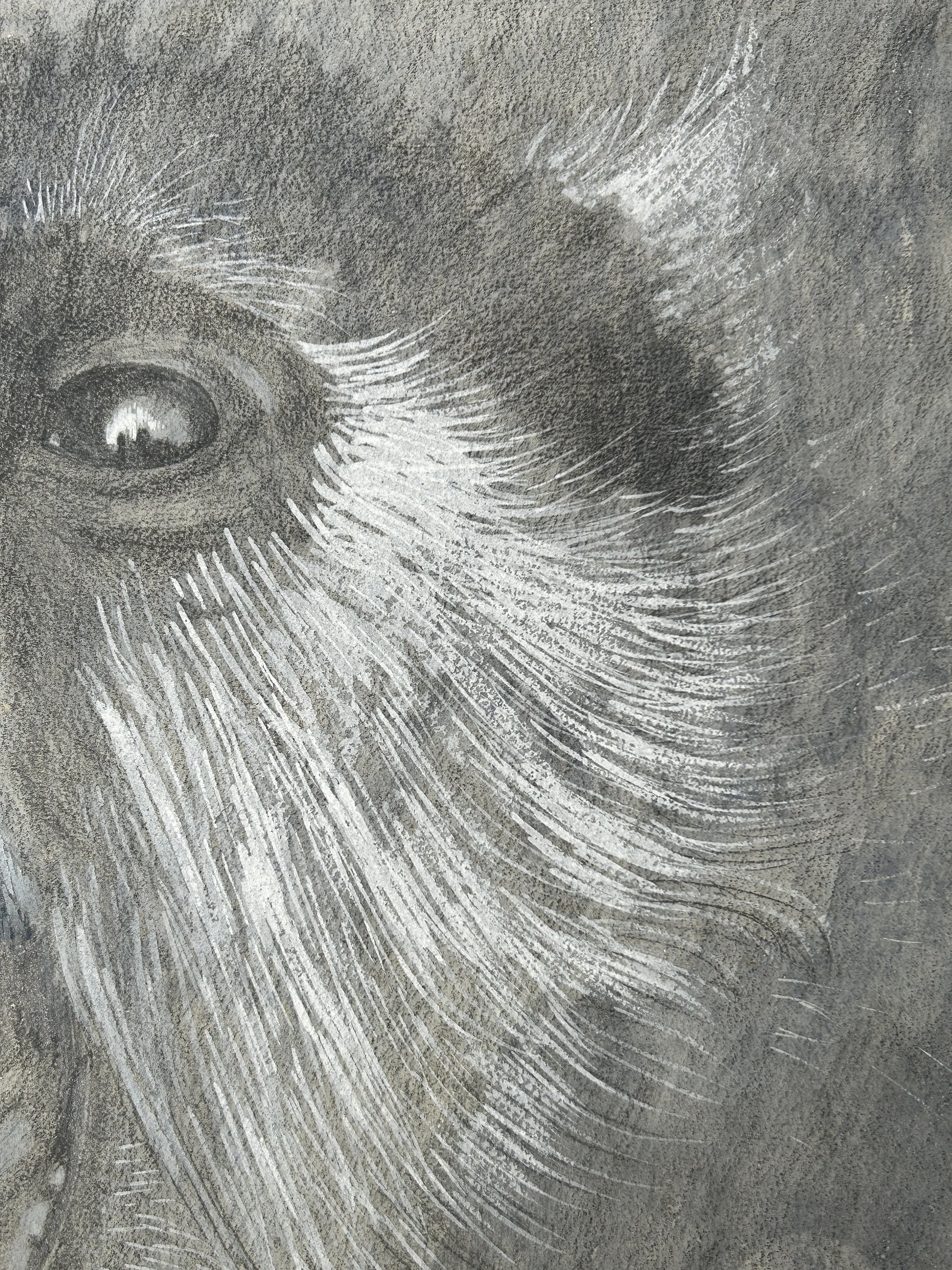 AfterlightImage 142.JPG