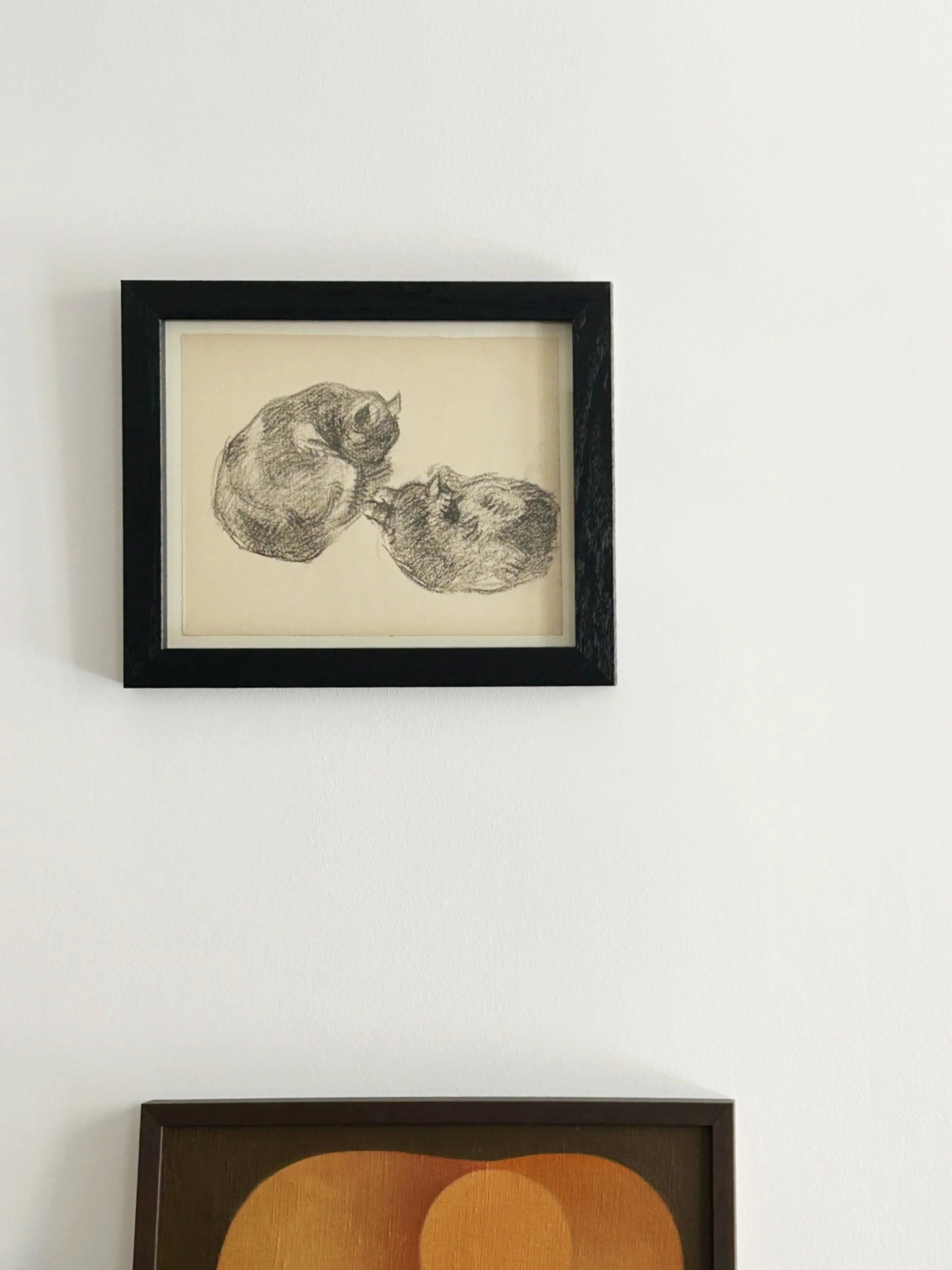 AfterlightImage 26.JPG