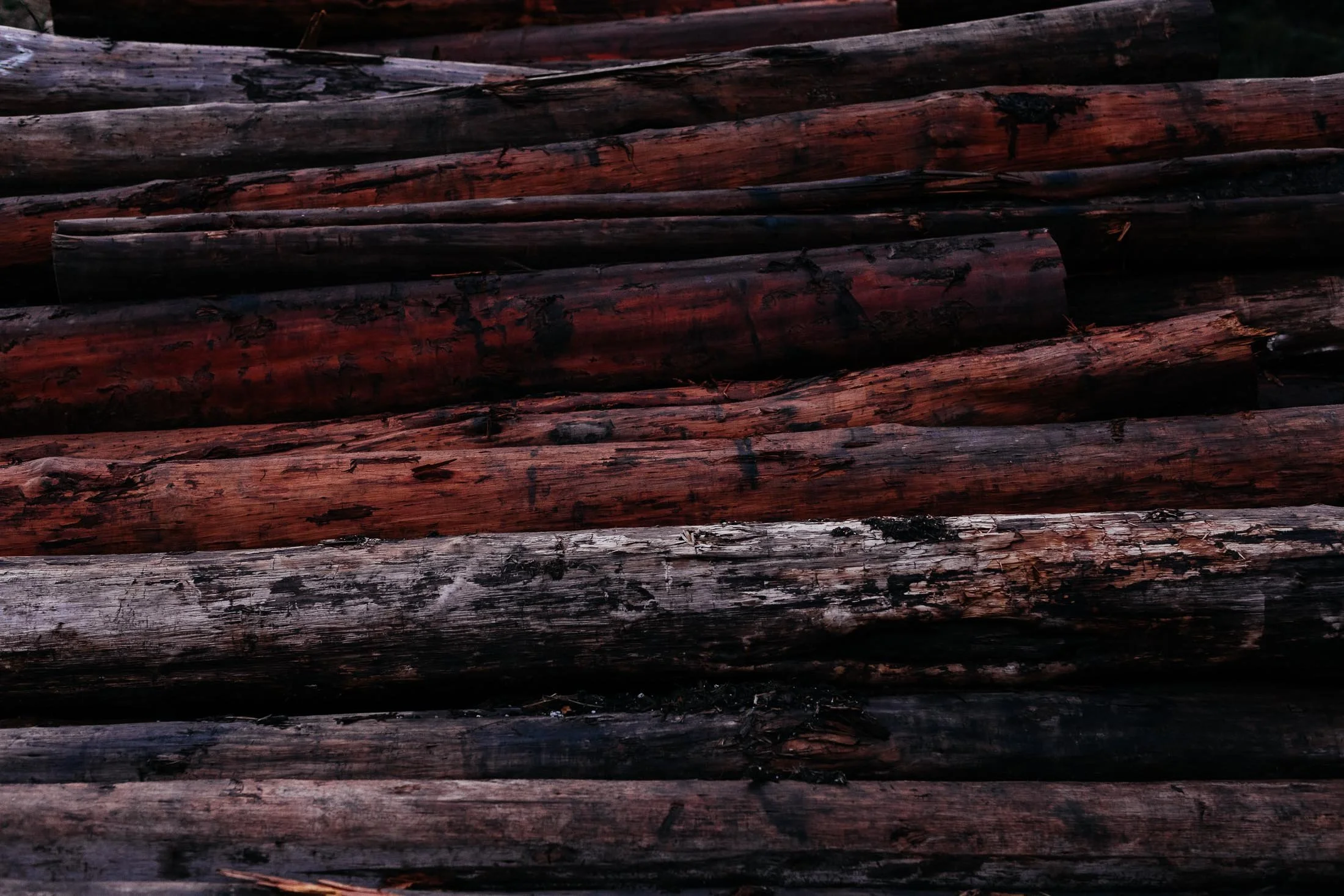 274A0051.jpg