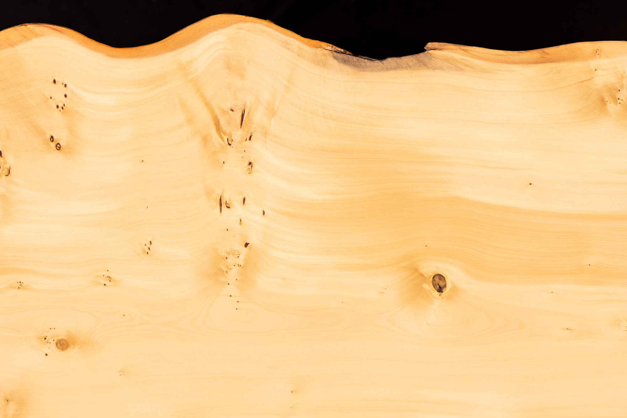 Hydrowood Huon Pine grain and figure