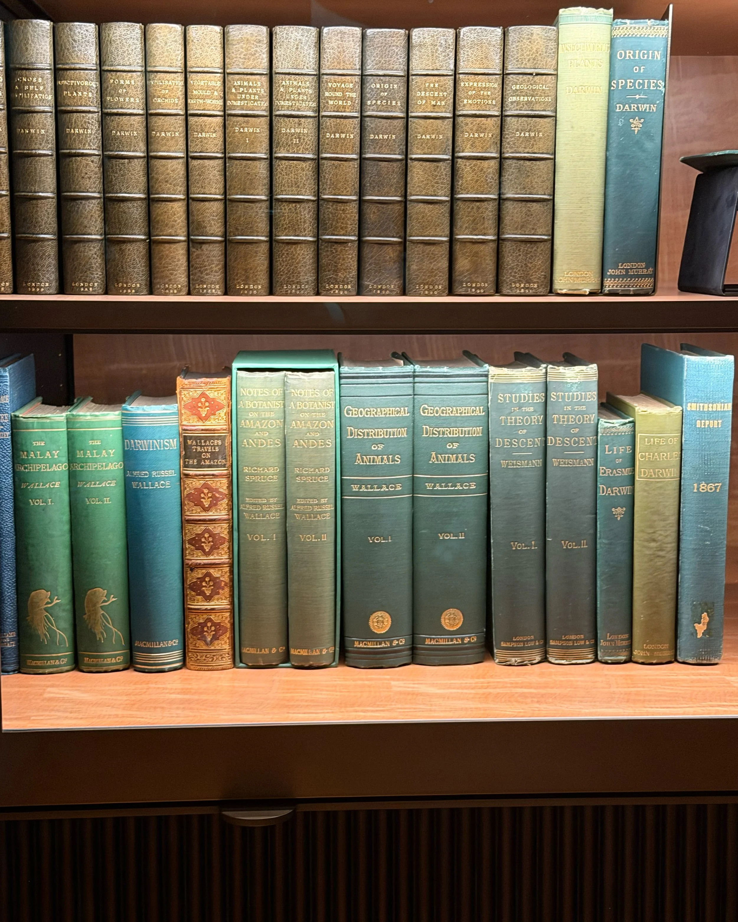 HW-Mona-Library-Photos-2.jpg