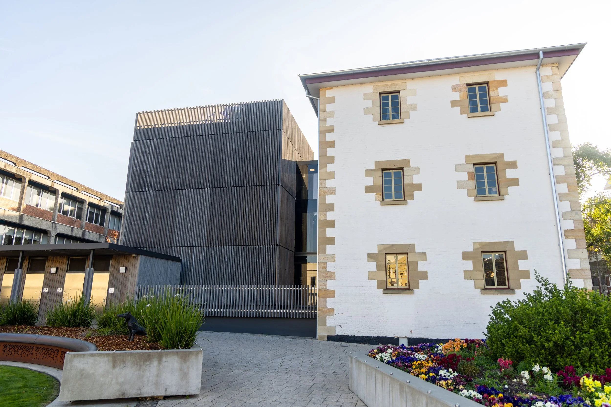 Celery Top Pine Battens Seven Years On at Macquarie House&nbsp;