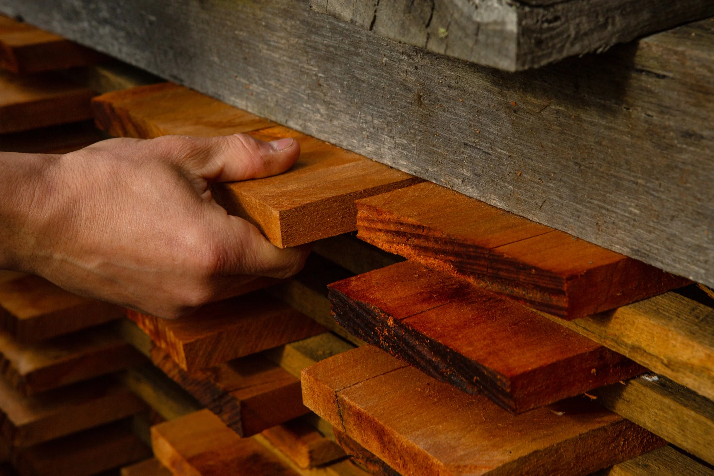 a hand feeling a raw plank of myrtle timber