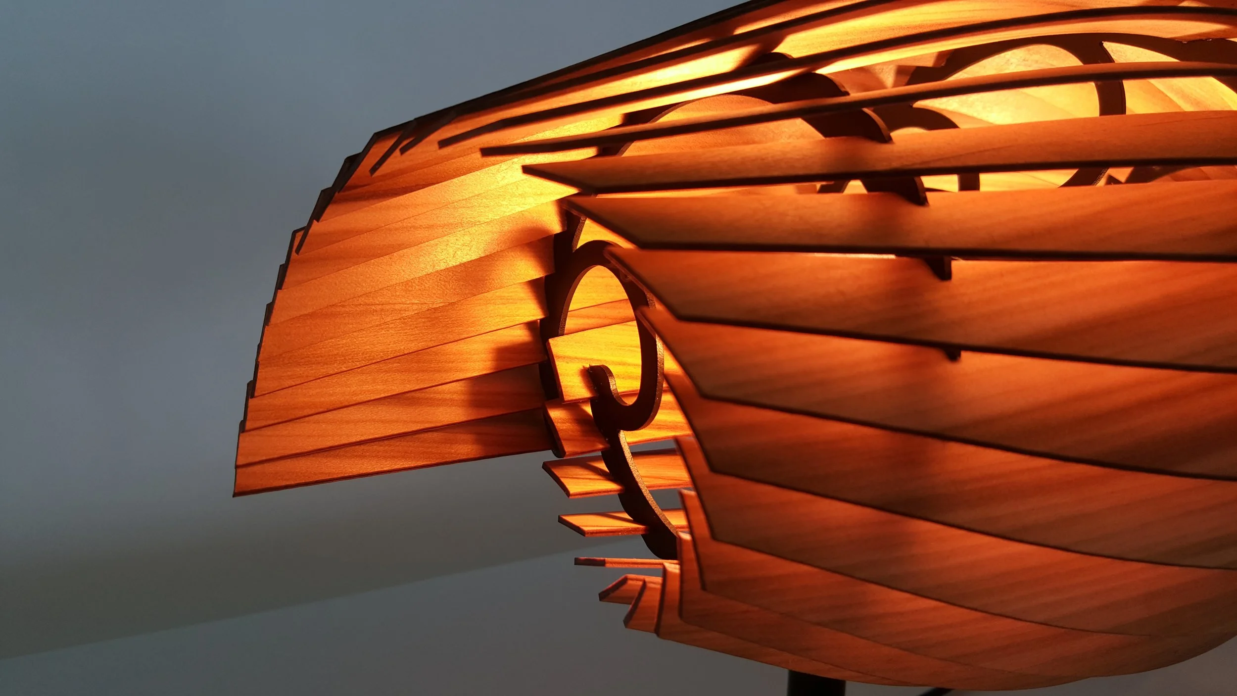 sassafras-timber-curved-forms