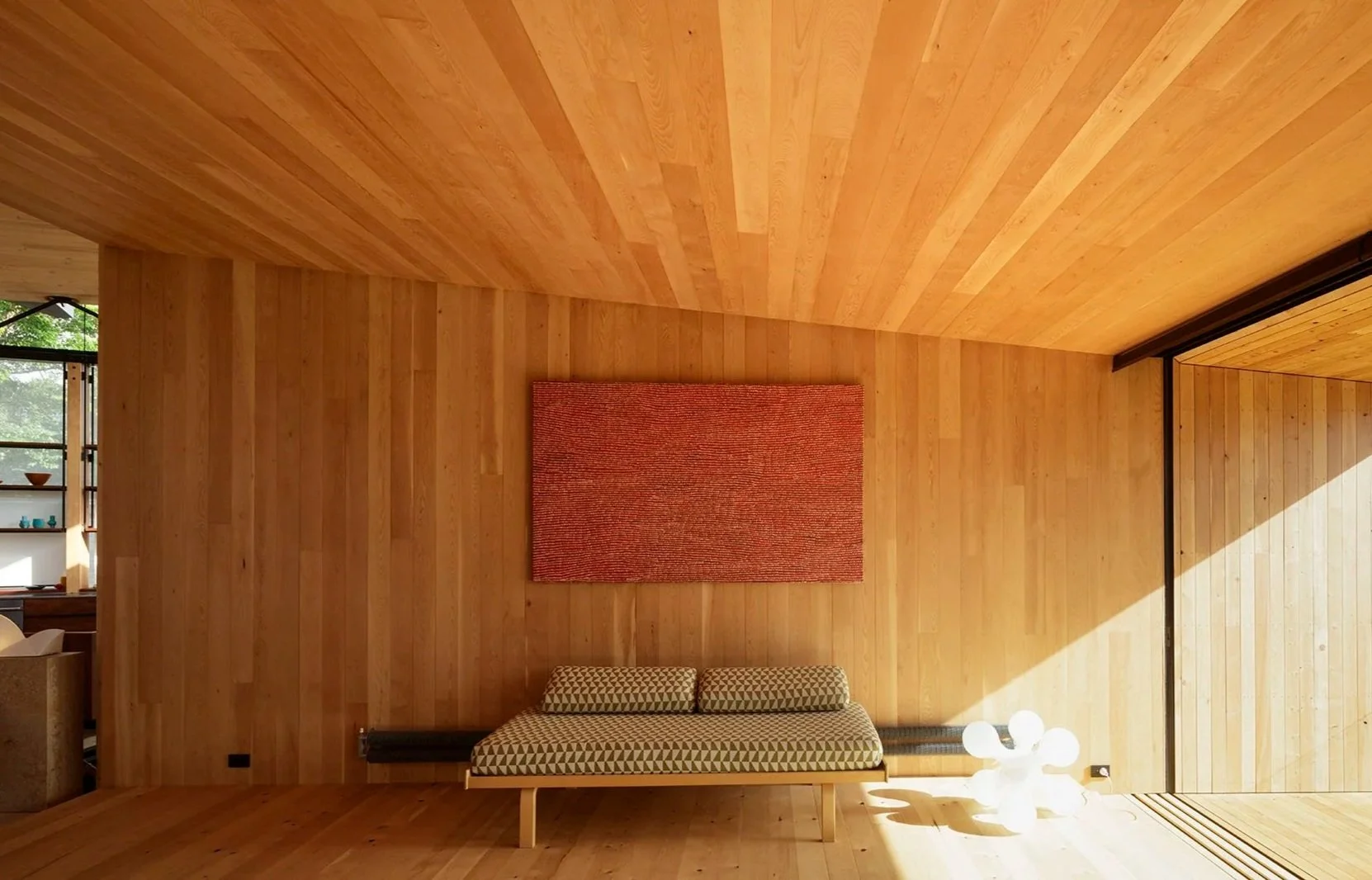 Australian Timbers Explained: Species, Uses and Why Specialty Timbers Are Making a Comeback