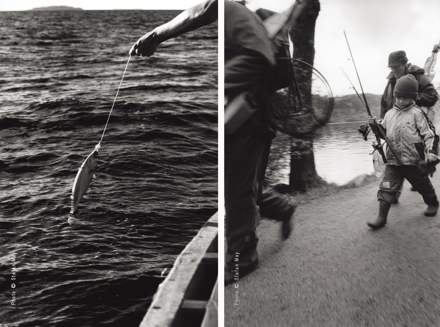 Fish + Fisherman's little Friend