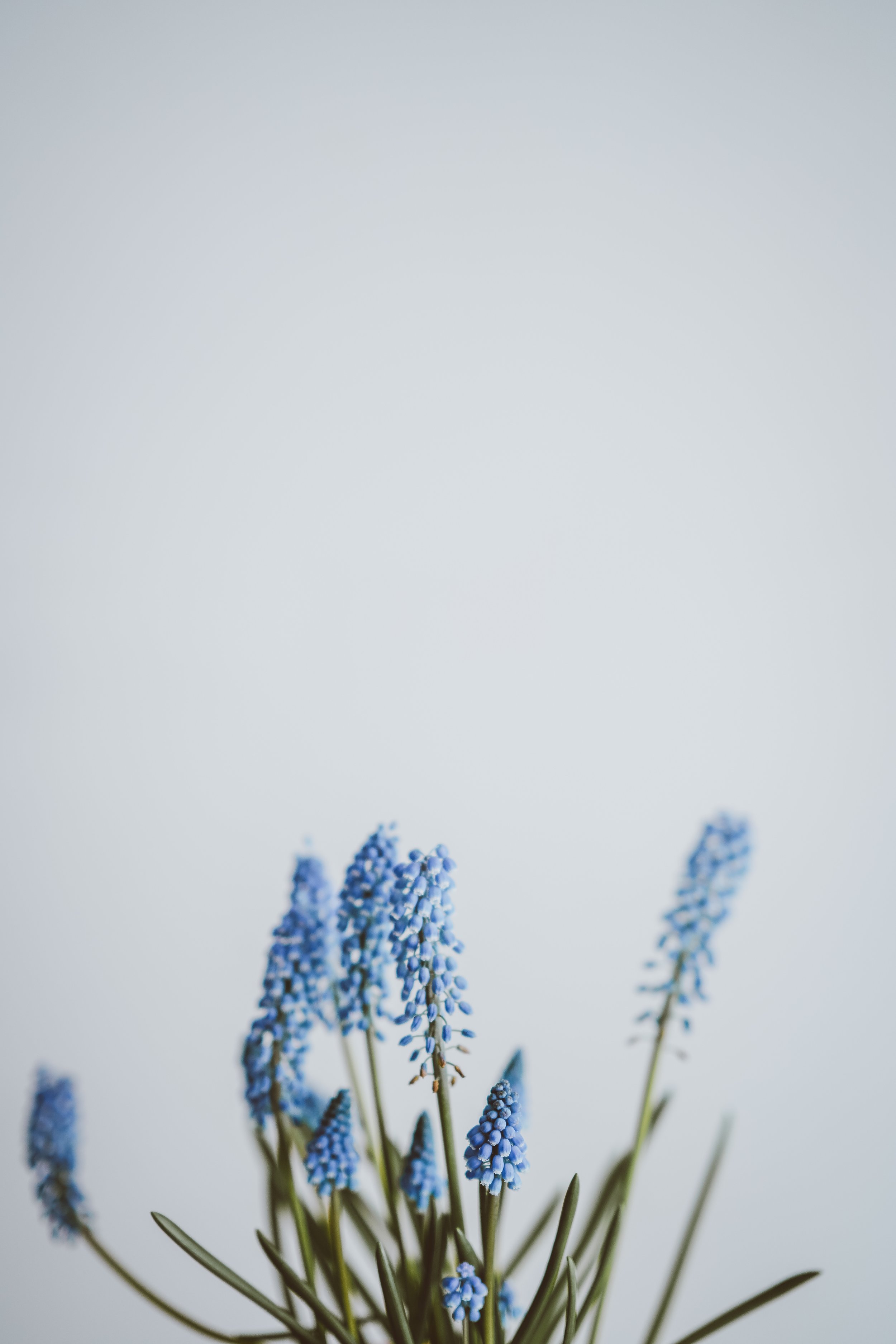 annie-spratt-573566-unsplash.jpg