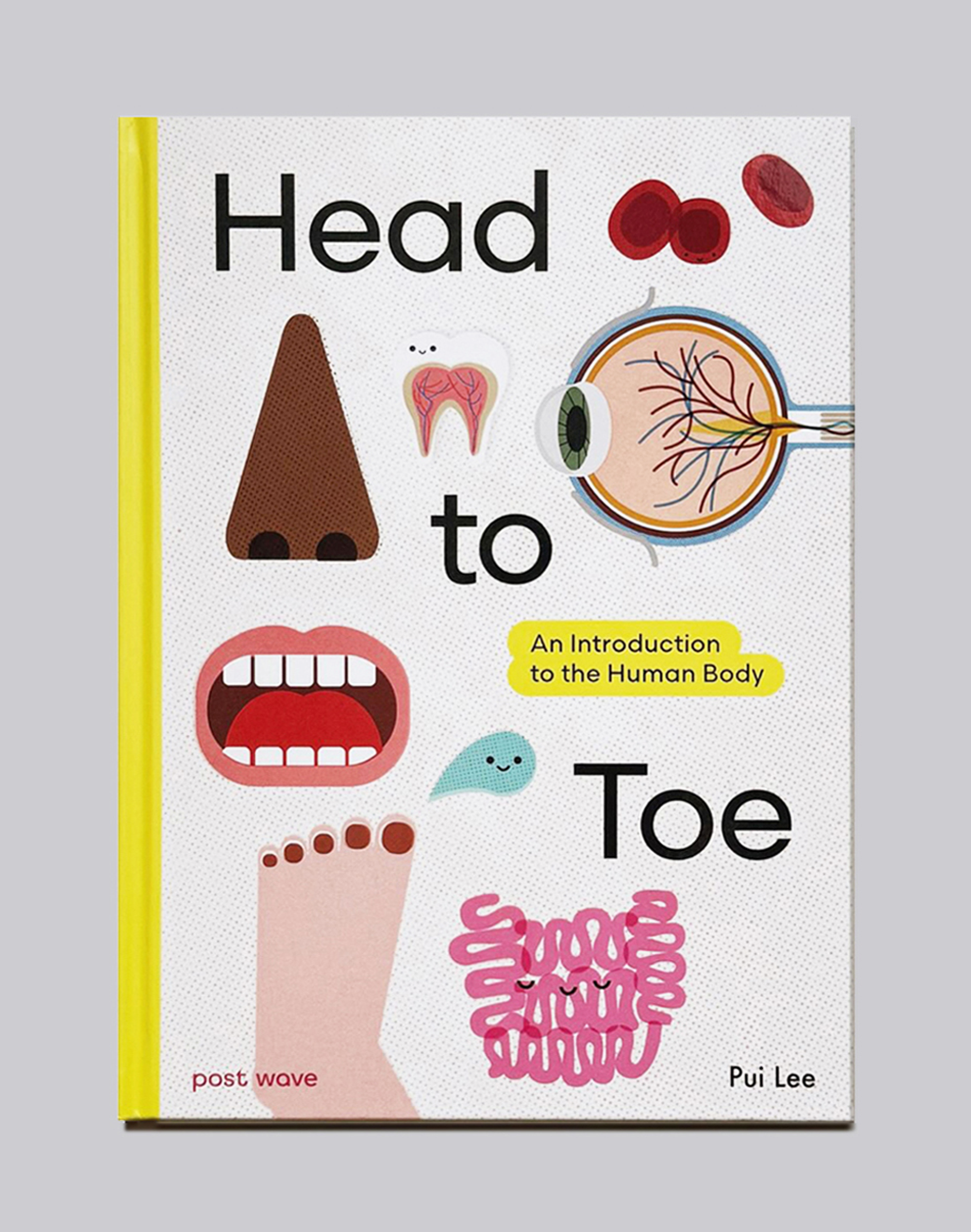 HeadToToe1.png