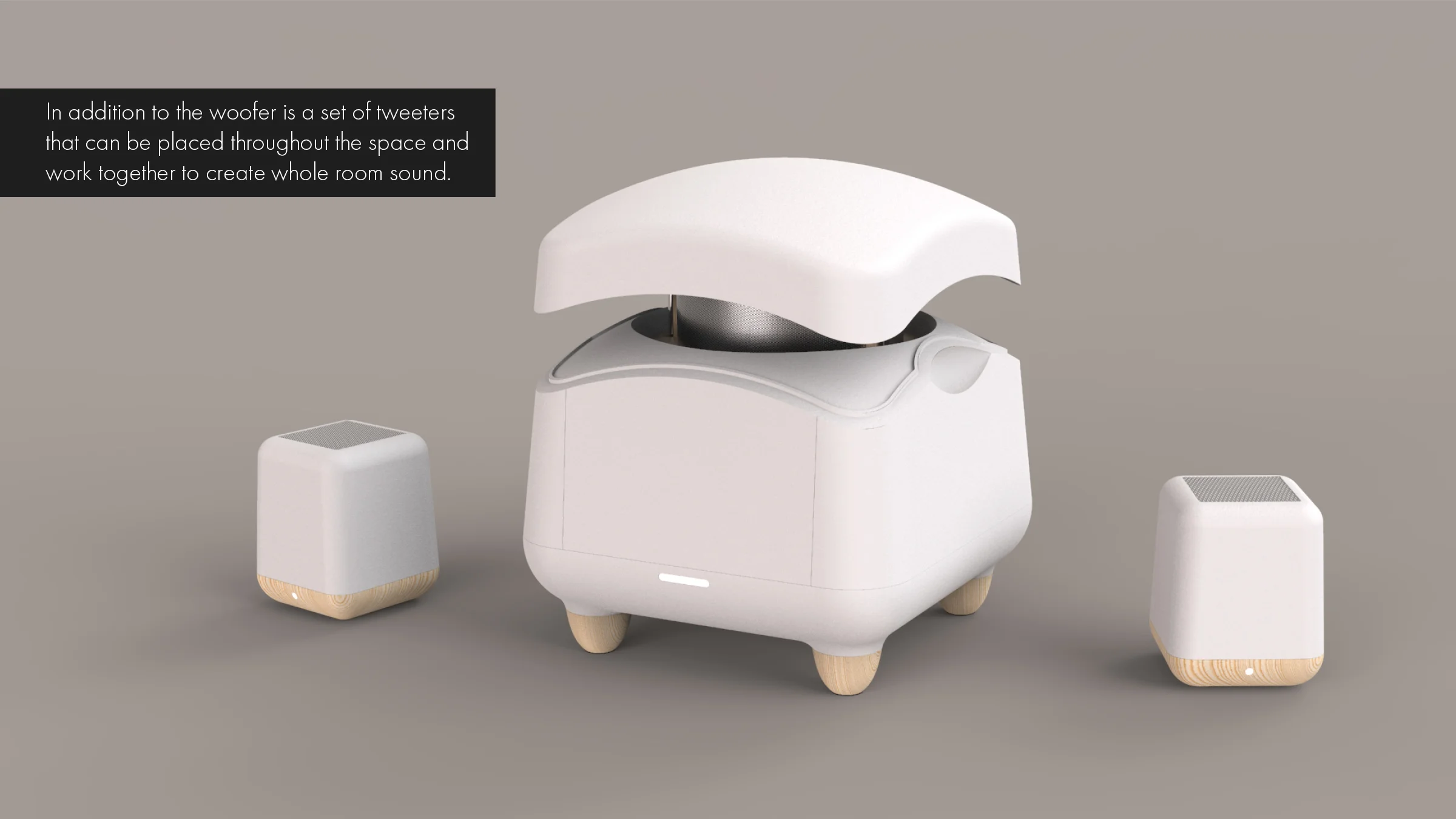 Speaker_Portfolio_Draft14.jpg