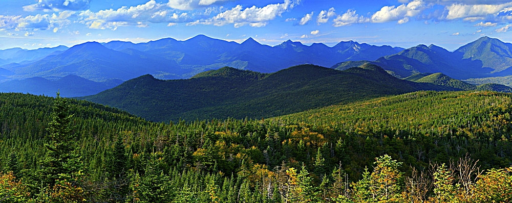 Boreas-Mt-Treetop-crop-of-Elk-Lake-High-Peaks-_1000px.jpg
