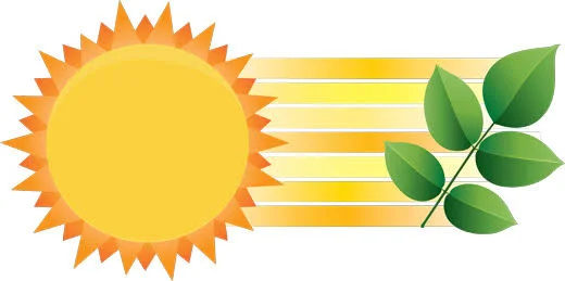 sun.jpg